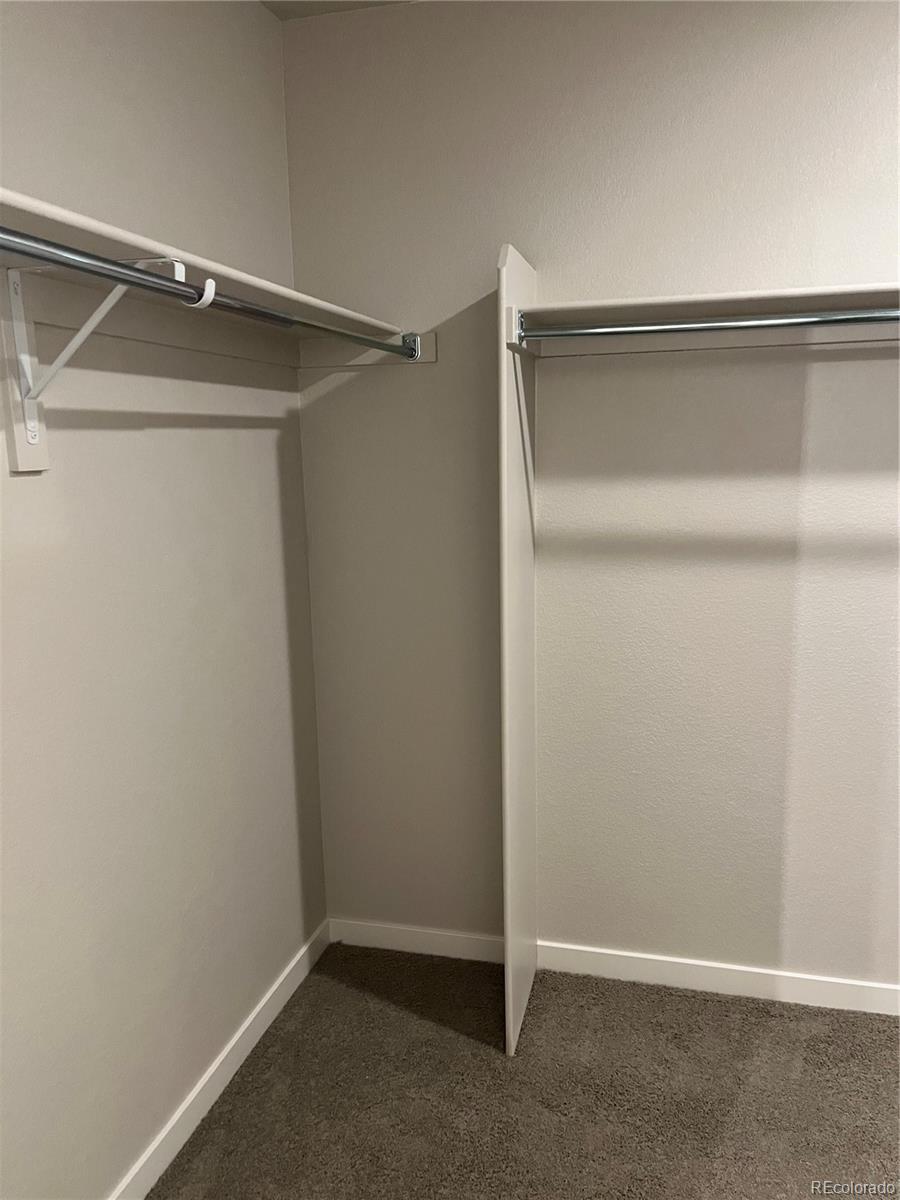 MLS Image #21 for 3209  robud farms drive,fort collins, Colorado