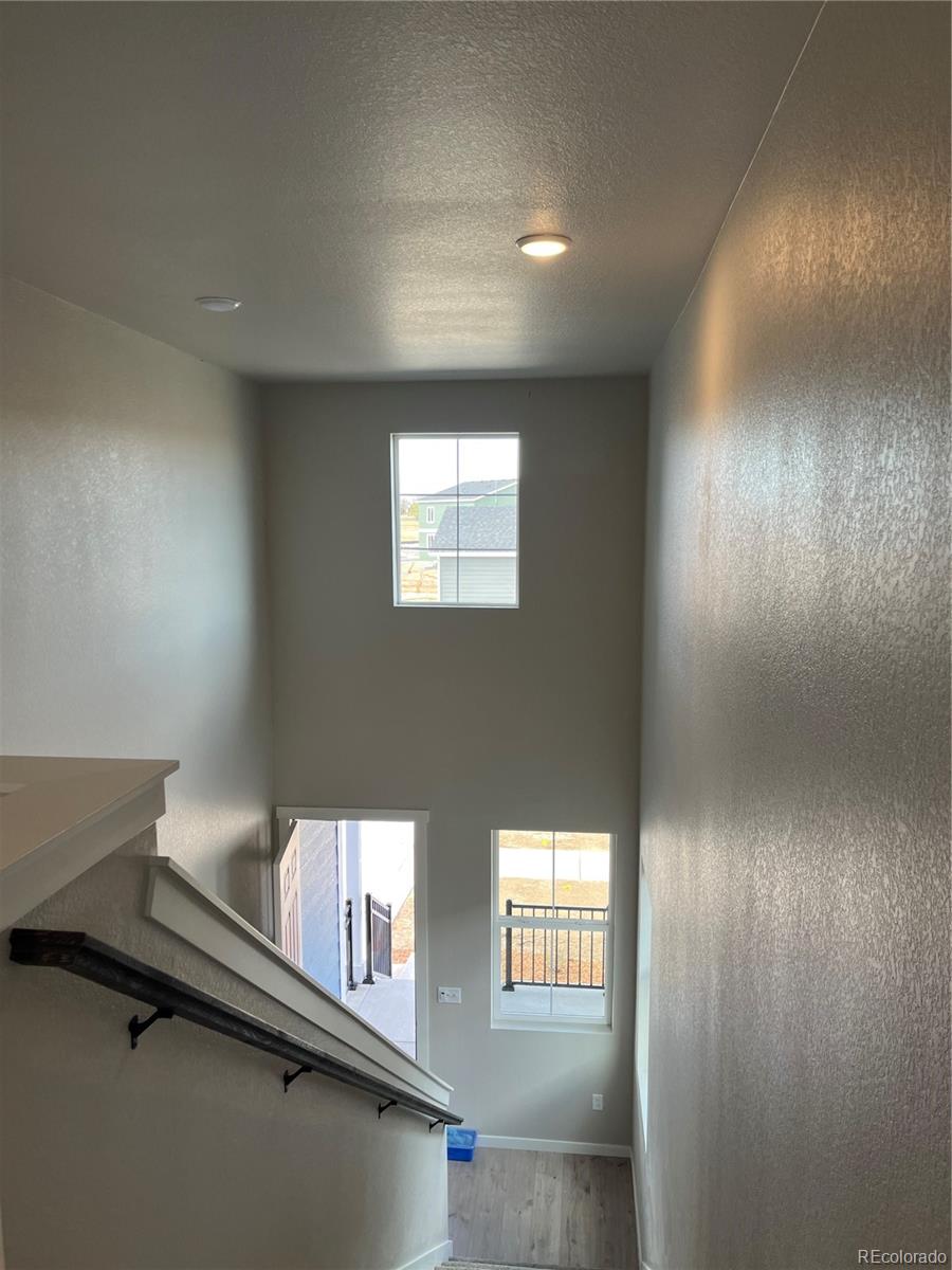 MLS Image #22 for 3209  robud farms drive,fort collins, Colorado