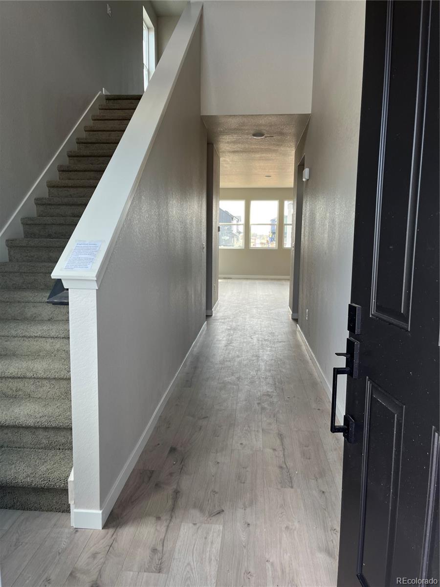 MLS Image #5 for 3209  robud farms drive,fort collins, Colorado