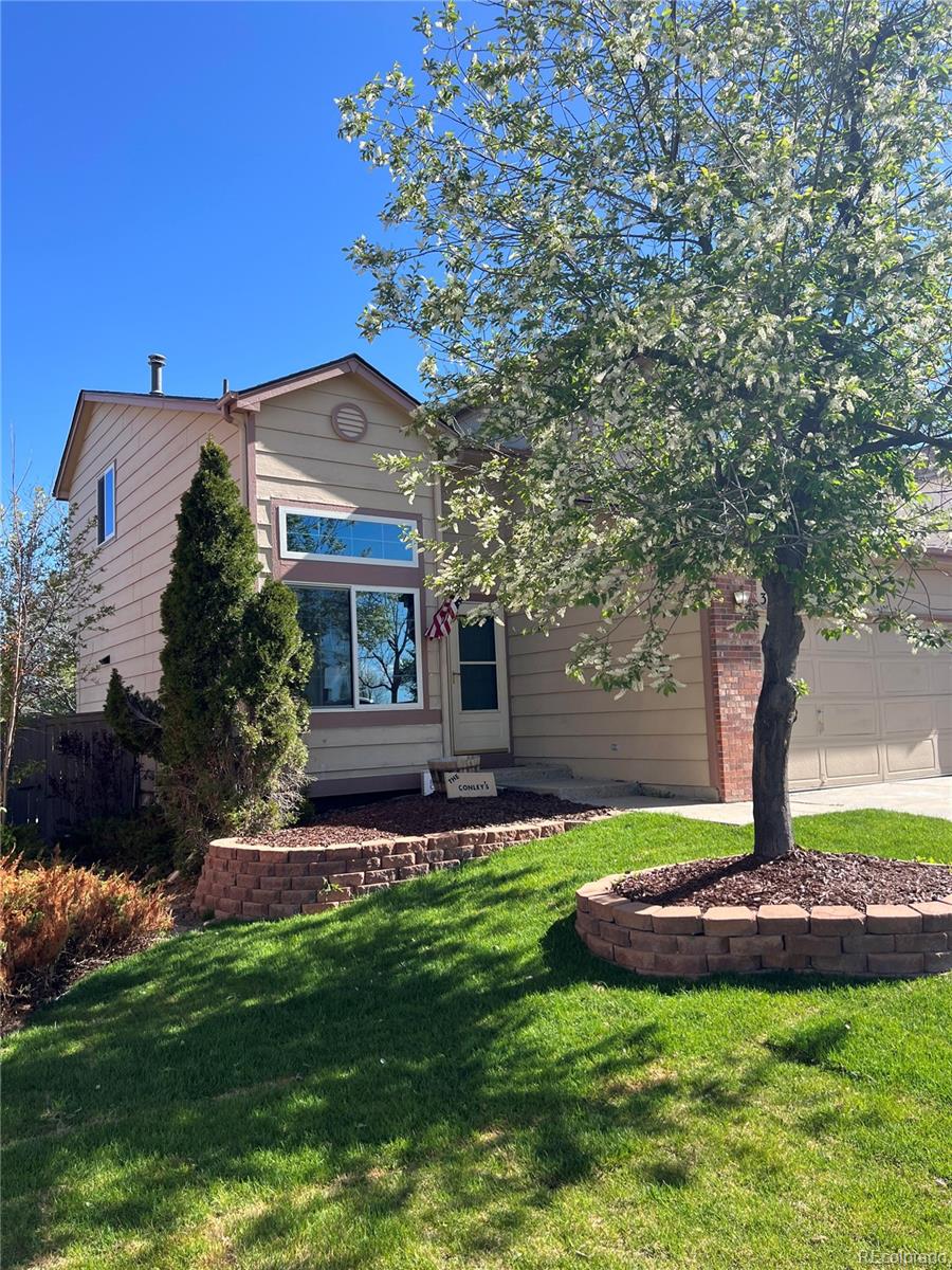MLS Image #3 for 3186 w indian summer lane,castle rock, Colorado