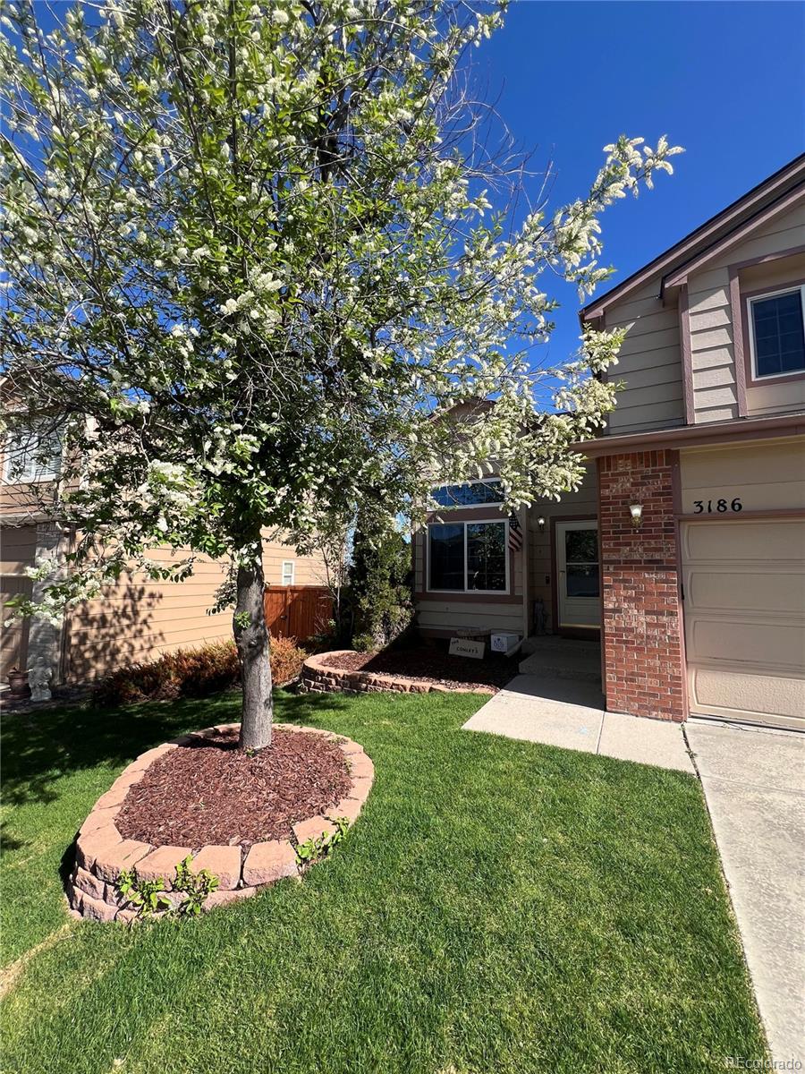 MLS Image #4 for 3186 w indian summer lane,castle rock, Colorado