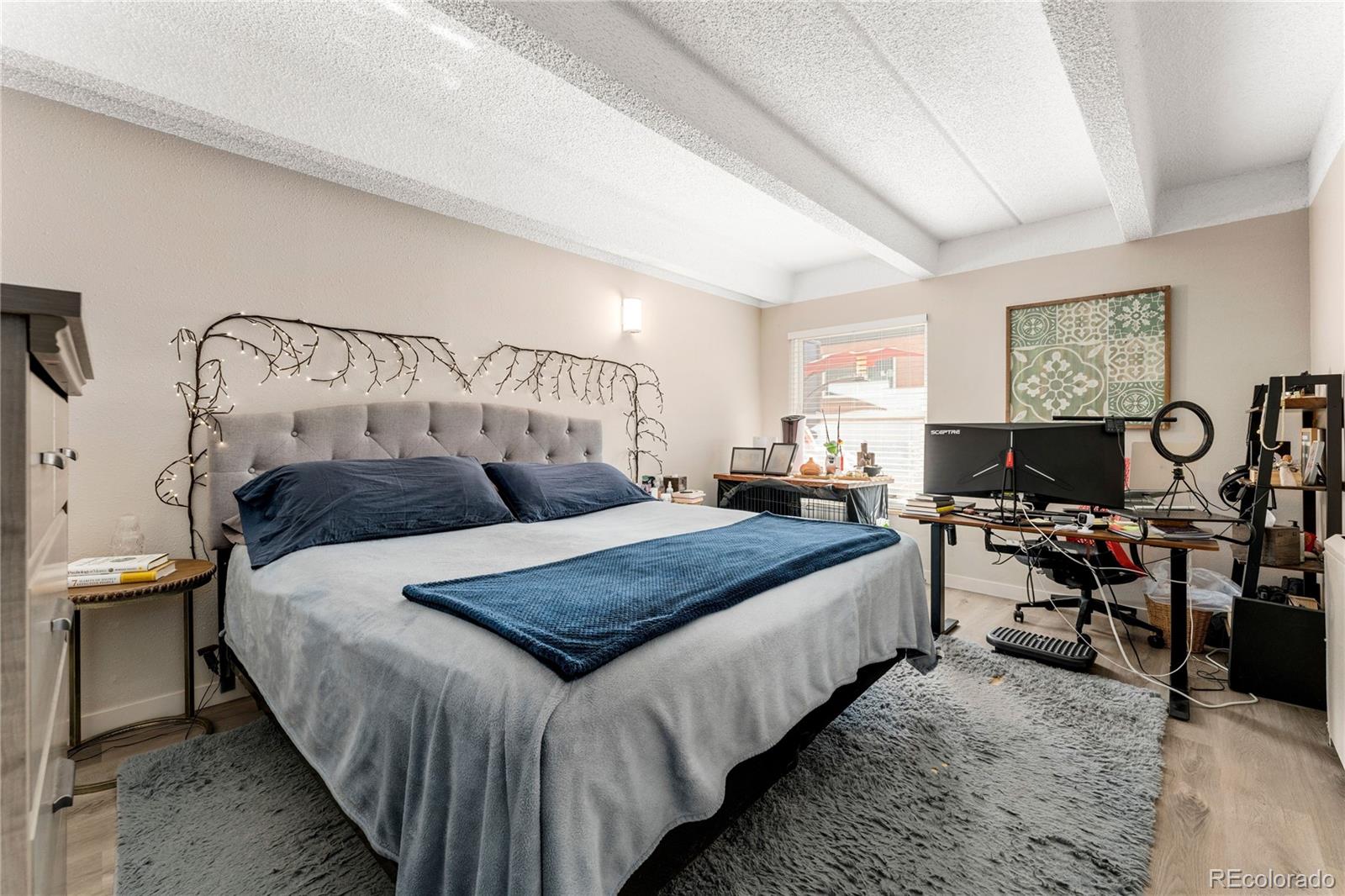 MLS Image #15 for 1265  race street,denver, Colorado