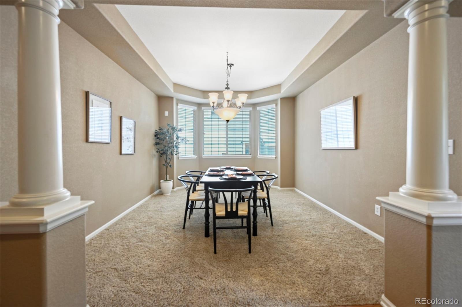 MLS Image #12 for 2828  shadow dance drive,castle rock, Colorado