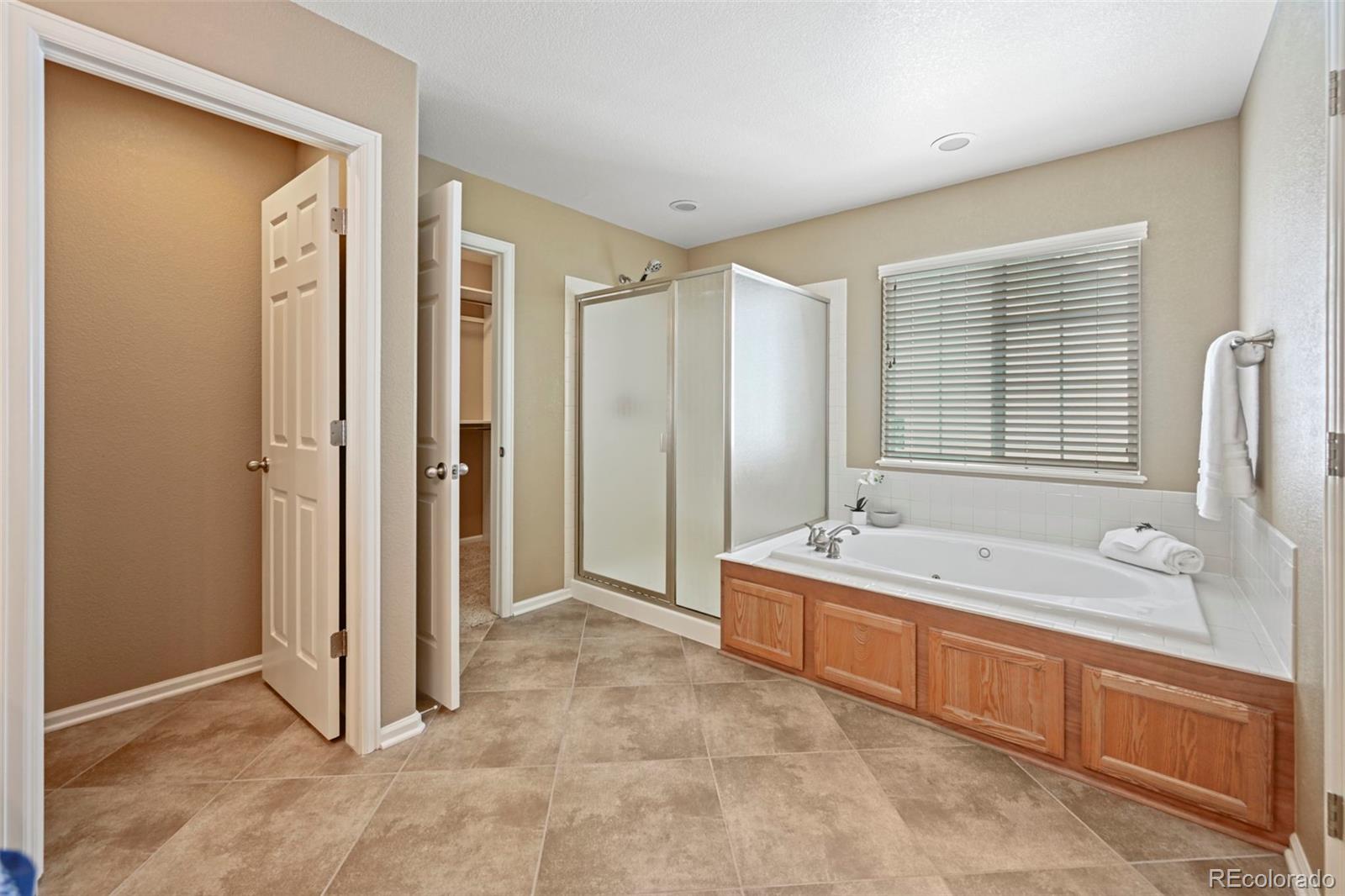 MLS Image #18 for 2828  shadow dance drive,castle rock, Colorado
