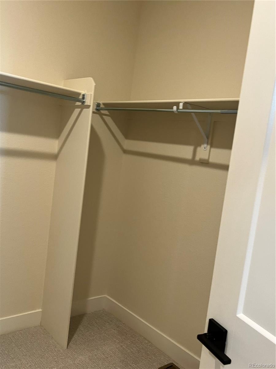 MLS Image #15 for 3215  robud farms drive,fort collins, Colorado