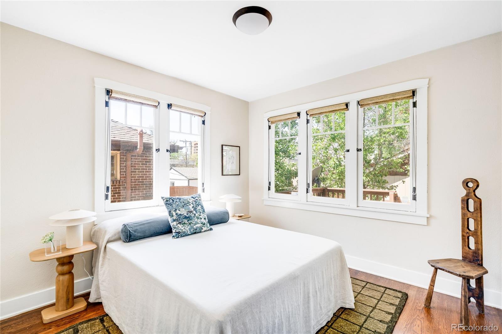MLS Image #21 for 315 s franklin street,denver, Colorado