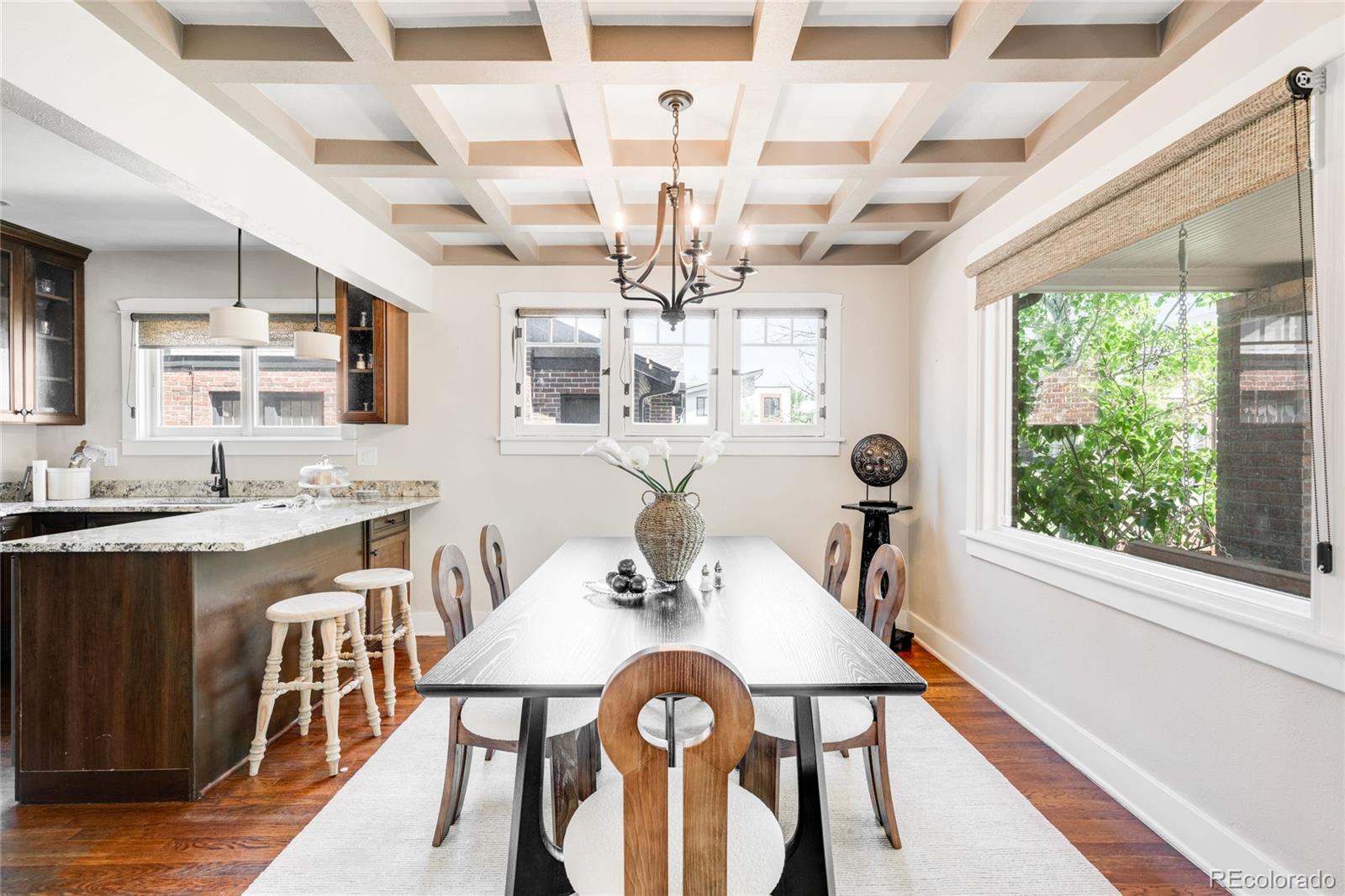 MLS Image #8 for 315 s franklin street,denver, Colorado