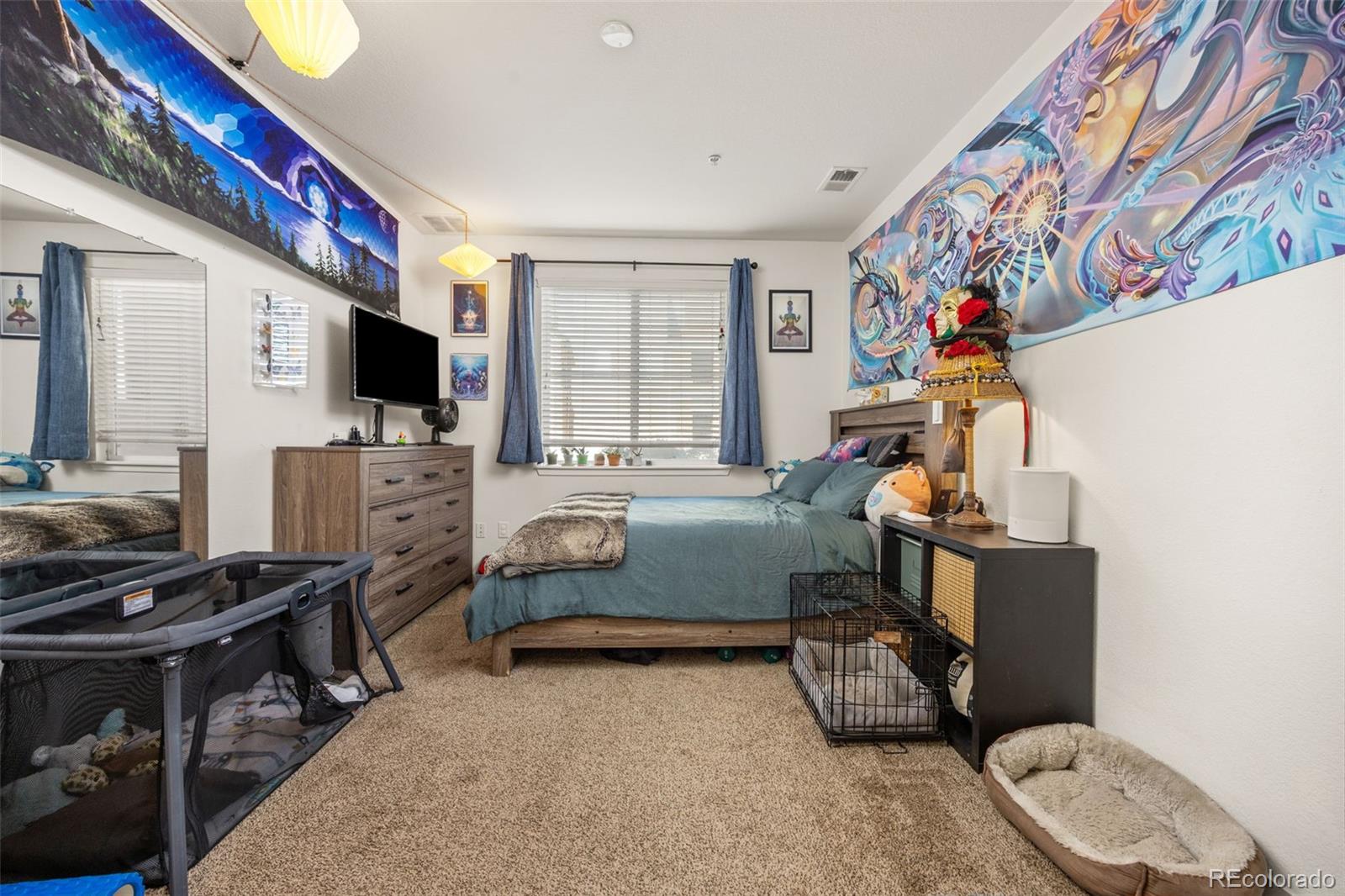 MLS Image #11 for 4100  albion street,denver, Colorado