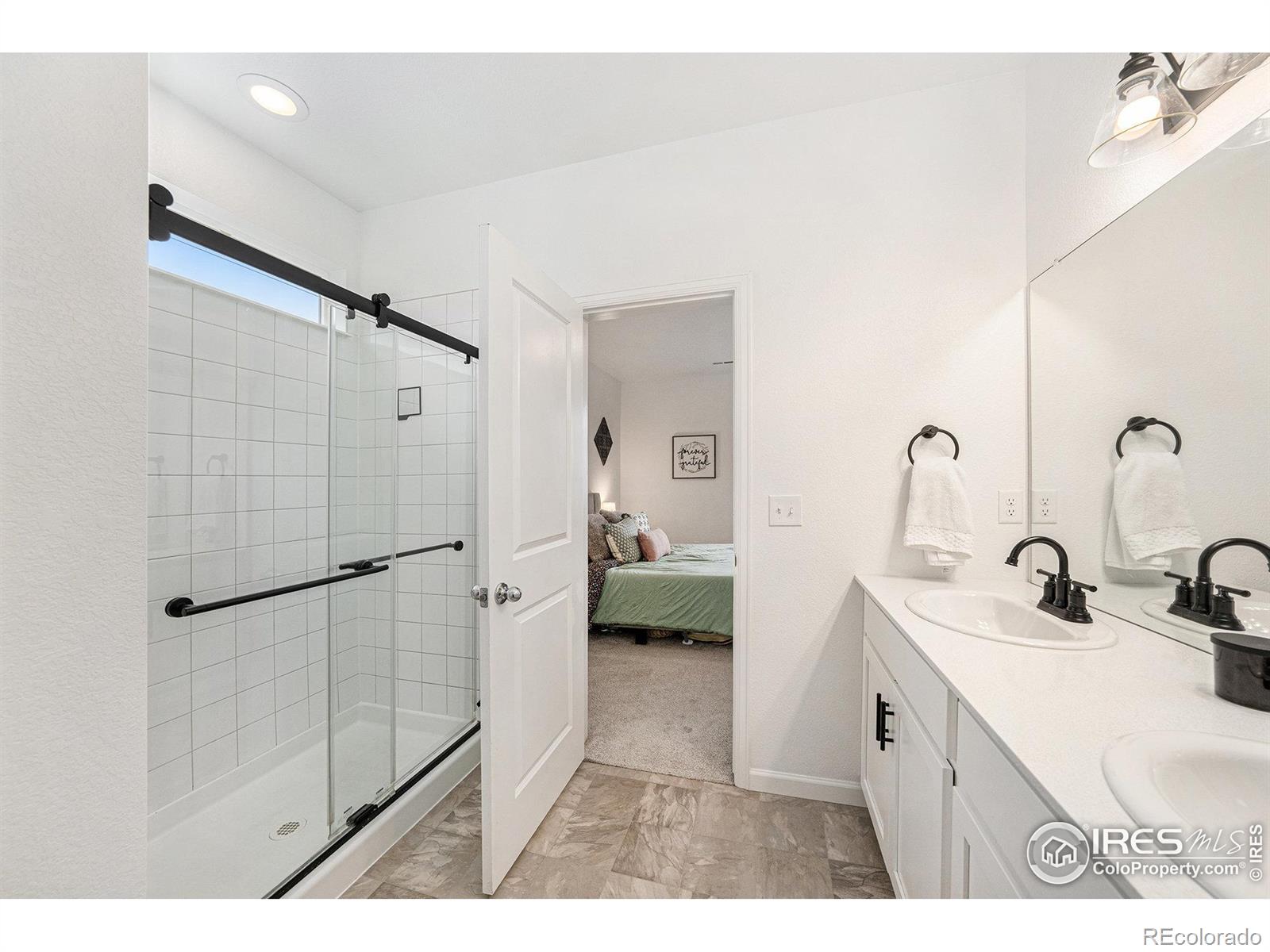 MLS Image #15 for 14762  charbray street,mead, Colorado
