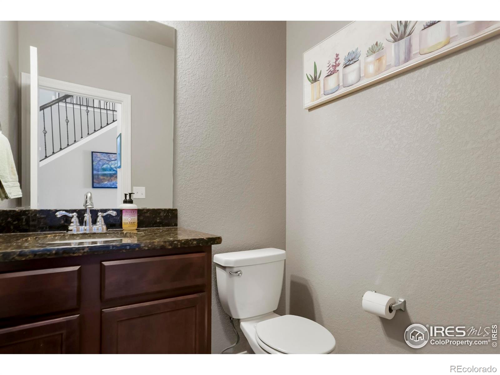 MLS Image #13 for 5287  clarence drive,windsor, Colorado