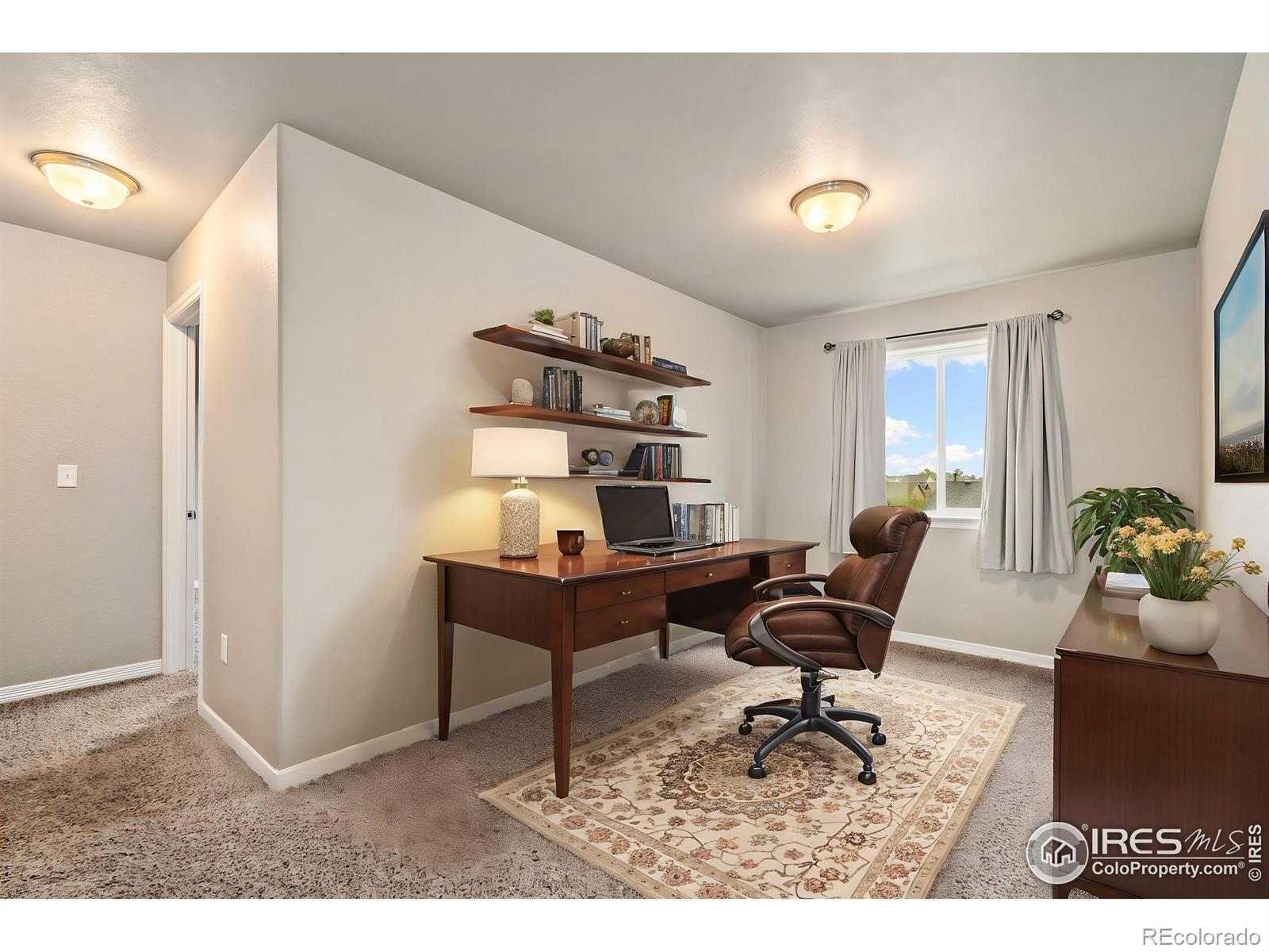 MLS Image #16 for 5287  clarence drive,windsor, Colorado