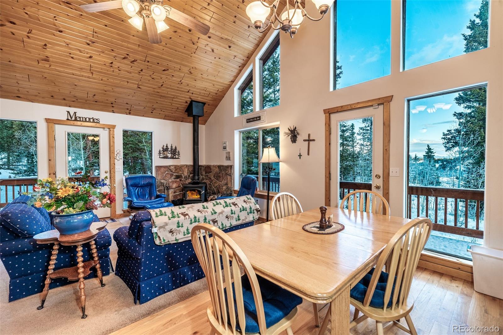 MLS Image #13 for 315  haida ln ,como, Colorado