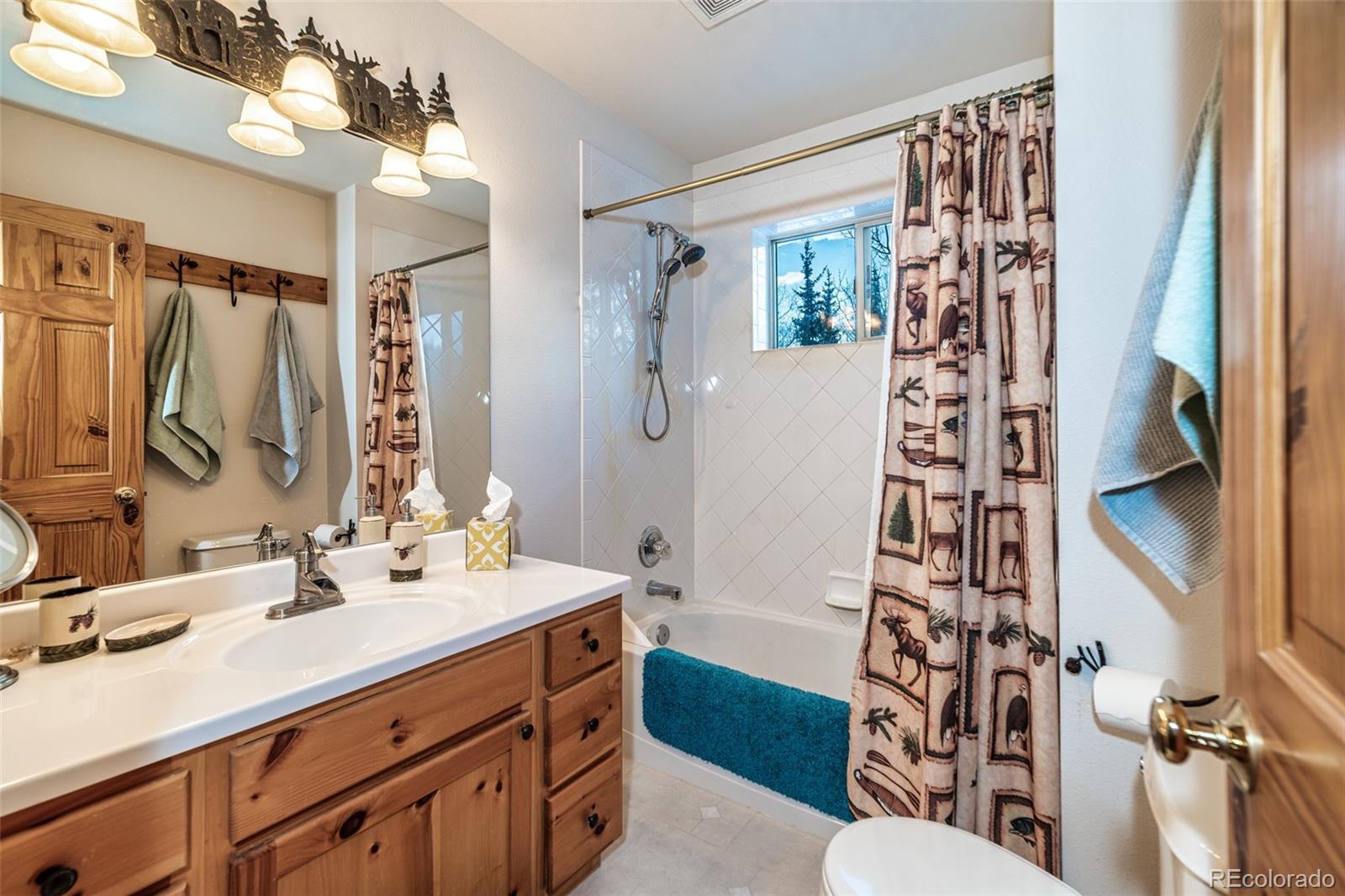 MLS Image #14 for 315  haida ln ,como, Colorado