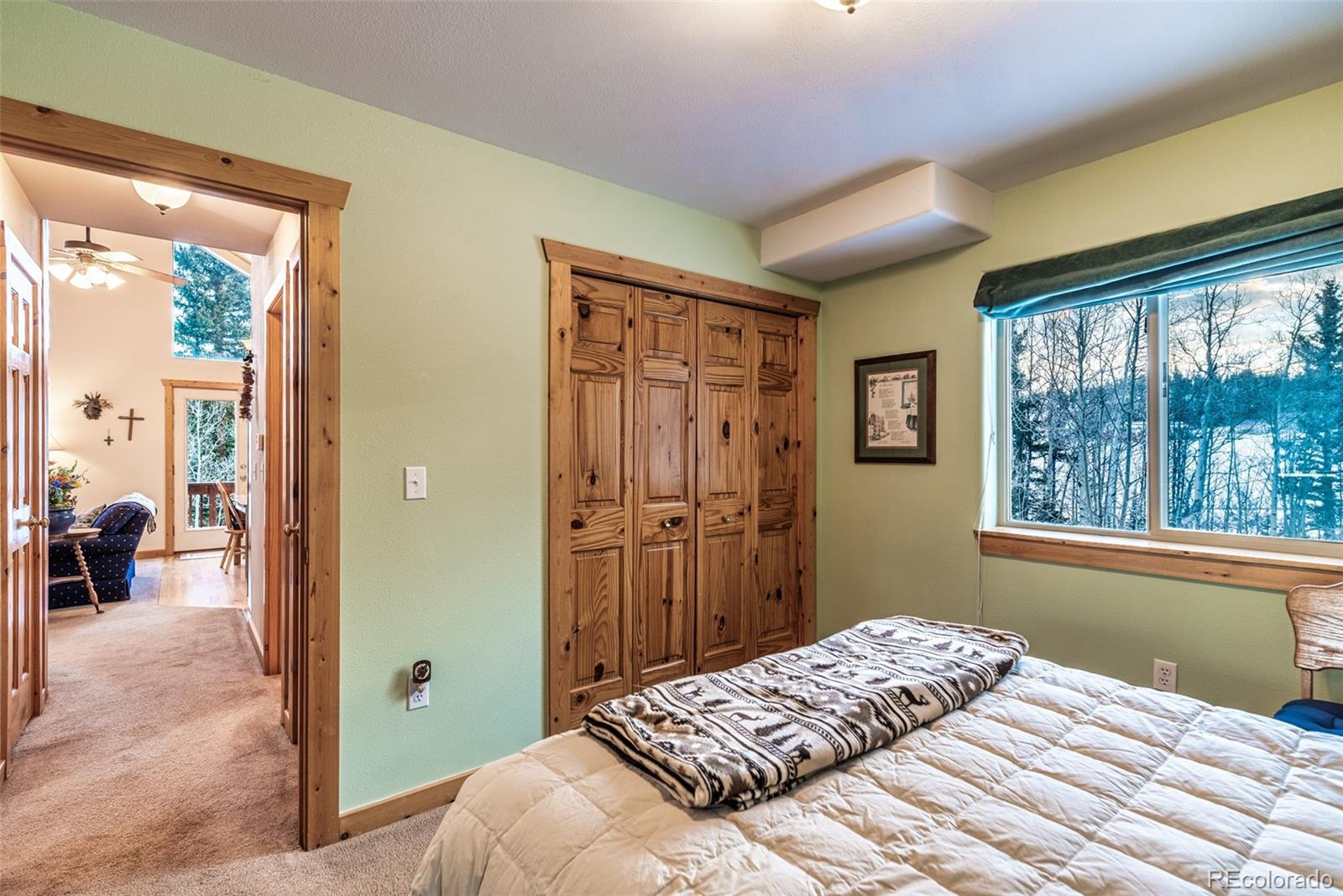 MLS Image #17 for 315  haida ln ,como, Colorado