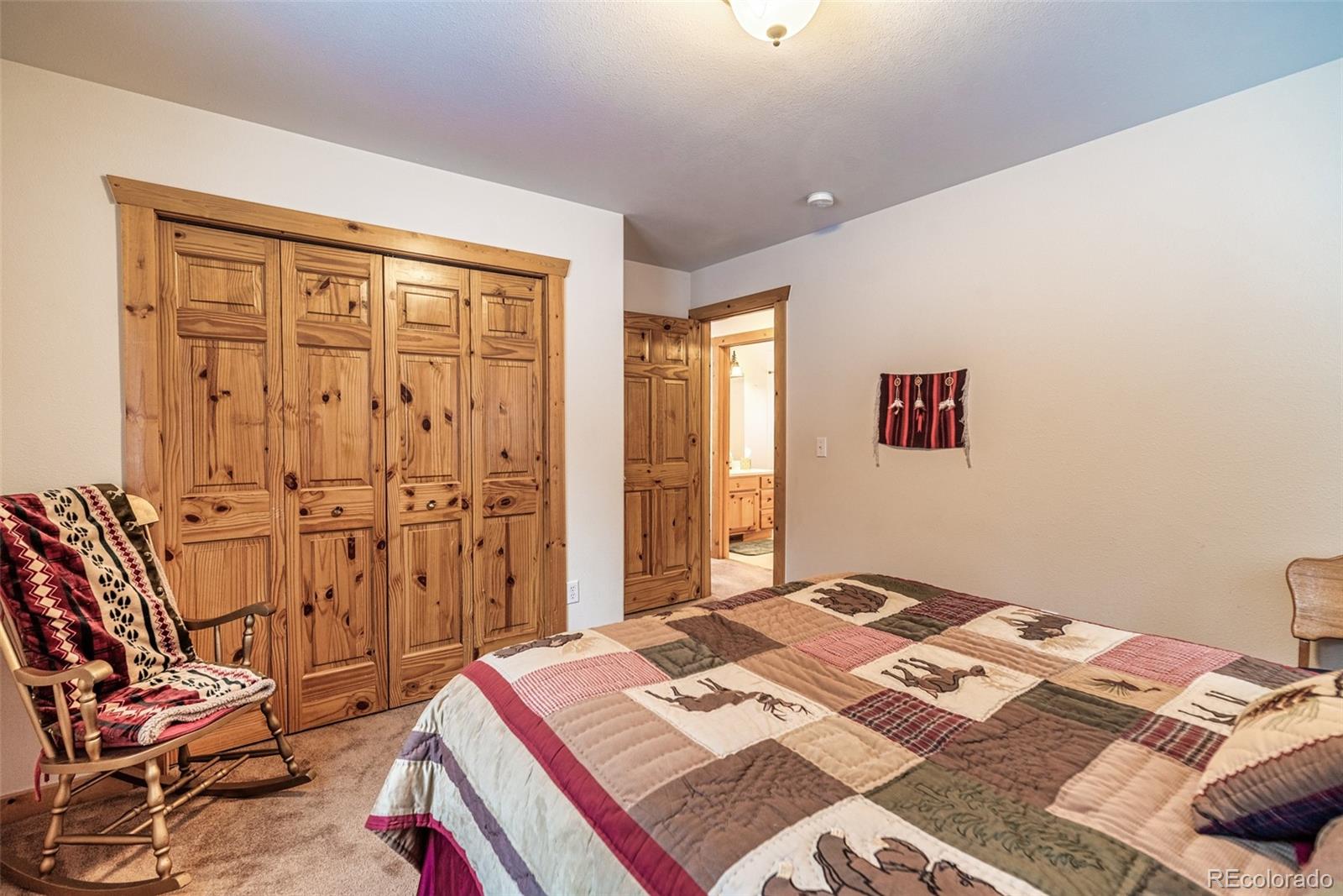 MLS Image #20 for 315  haida ln ,como, Colorado