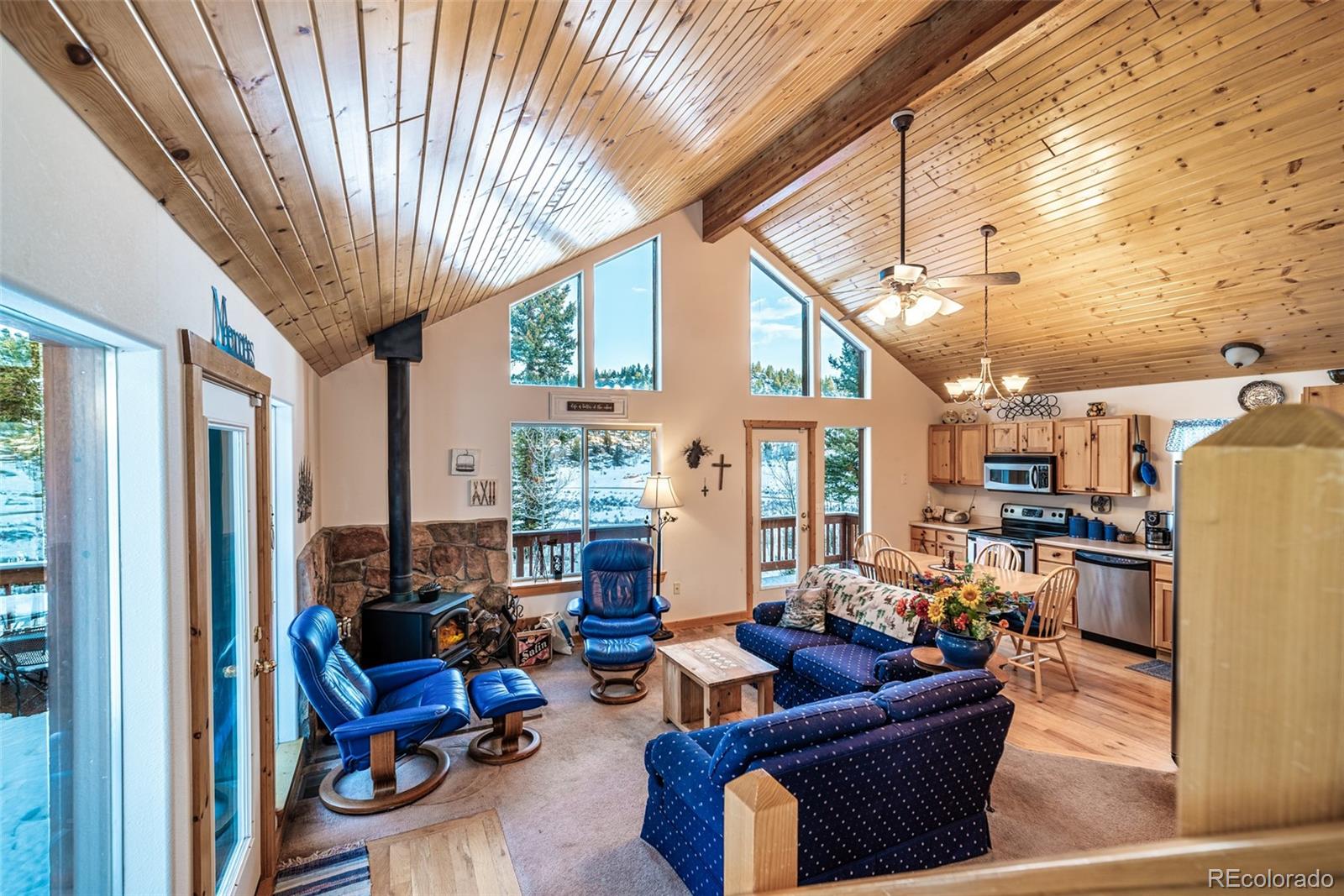 MLS Image #21 for 315  haida ln ,como, Colorado