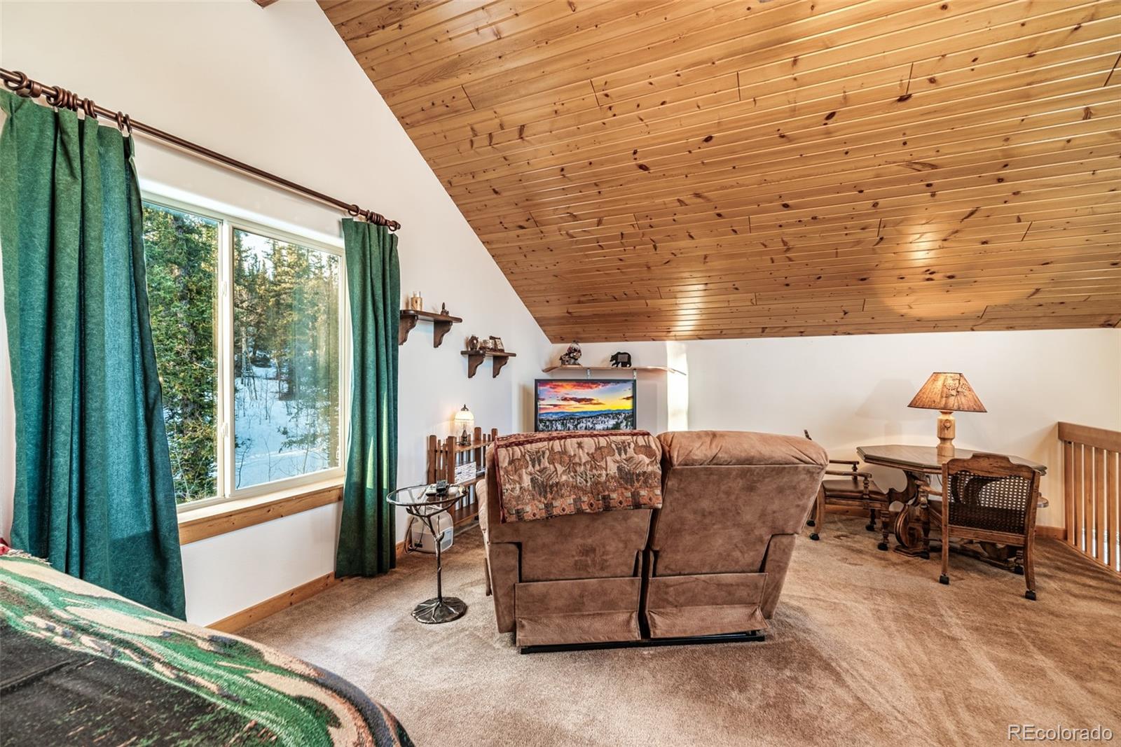 MLS Image #24 for 315  haida ln ,como, Colorado