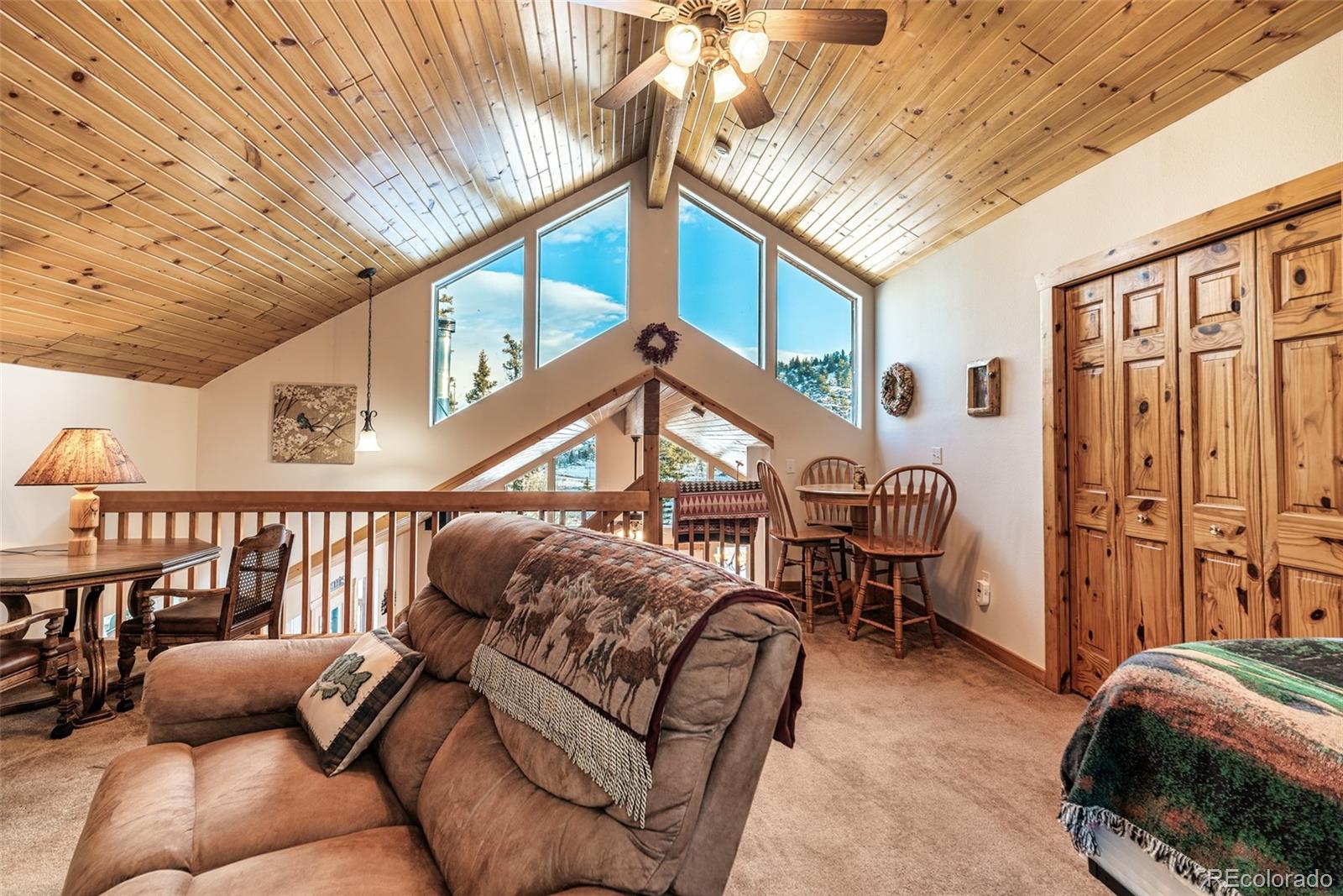 MLS Image #25 for 315  haida ln ,como, Colorado