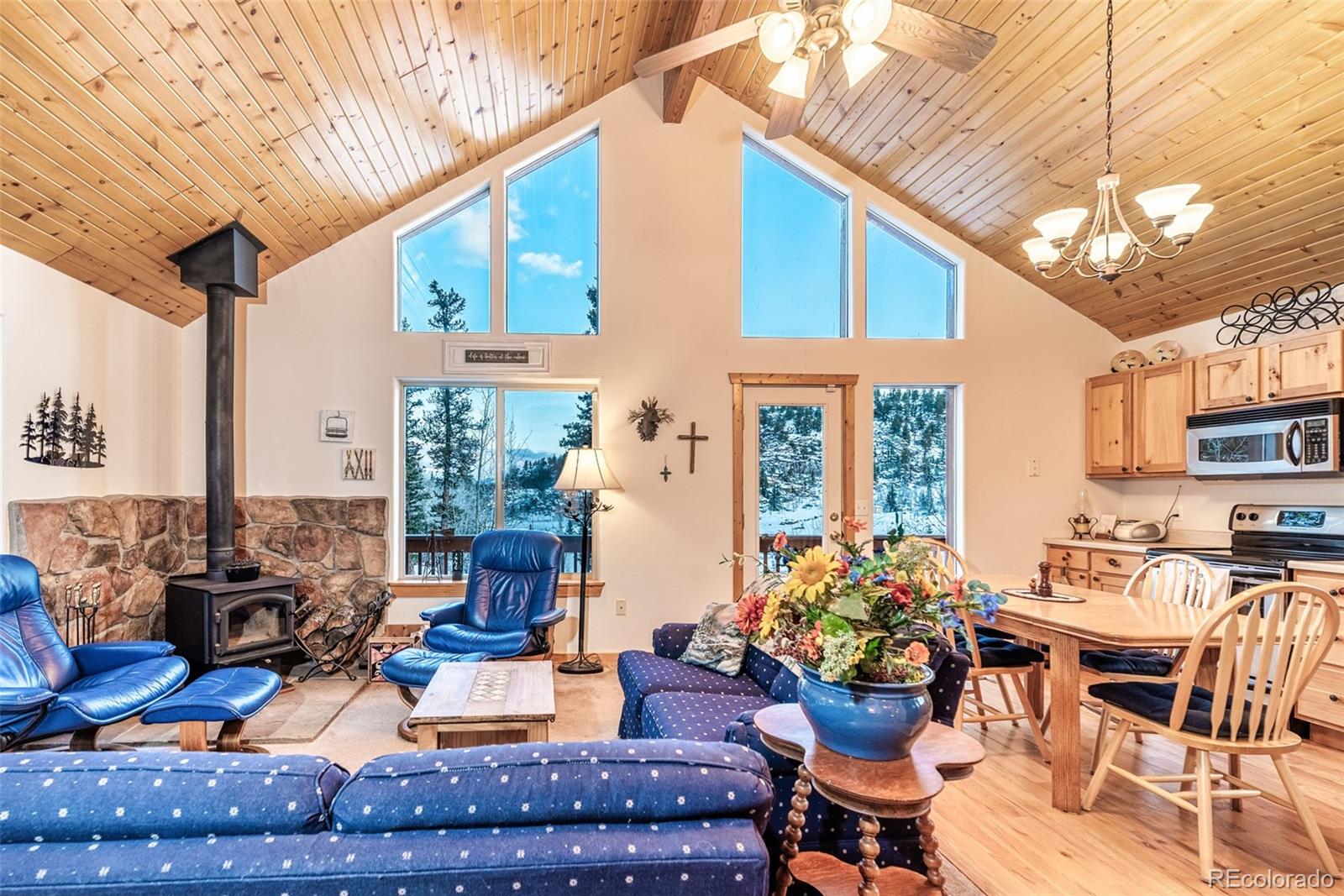 MLS Image #5 for 315  haida ln ,como, Colorado