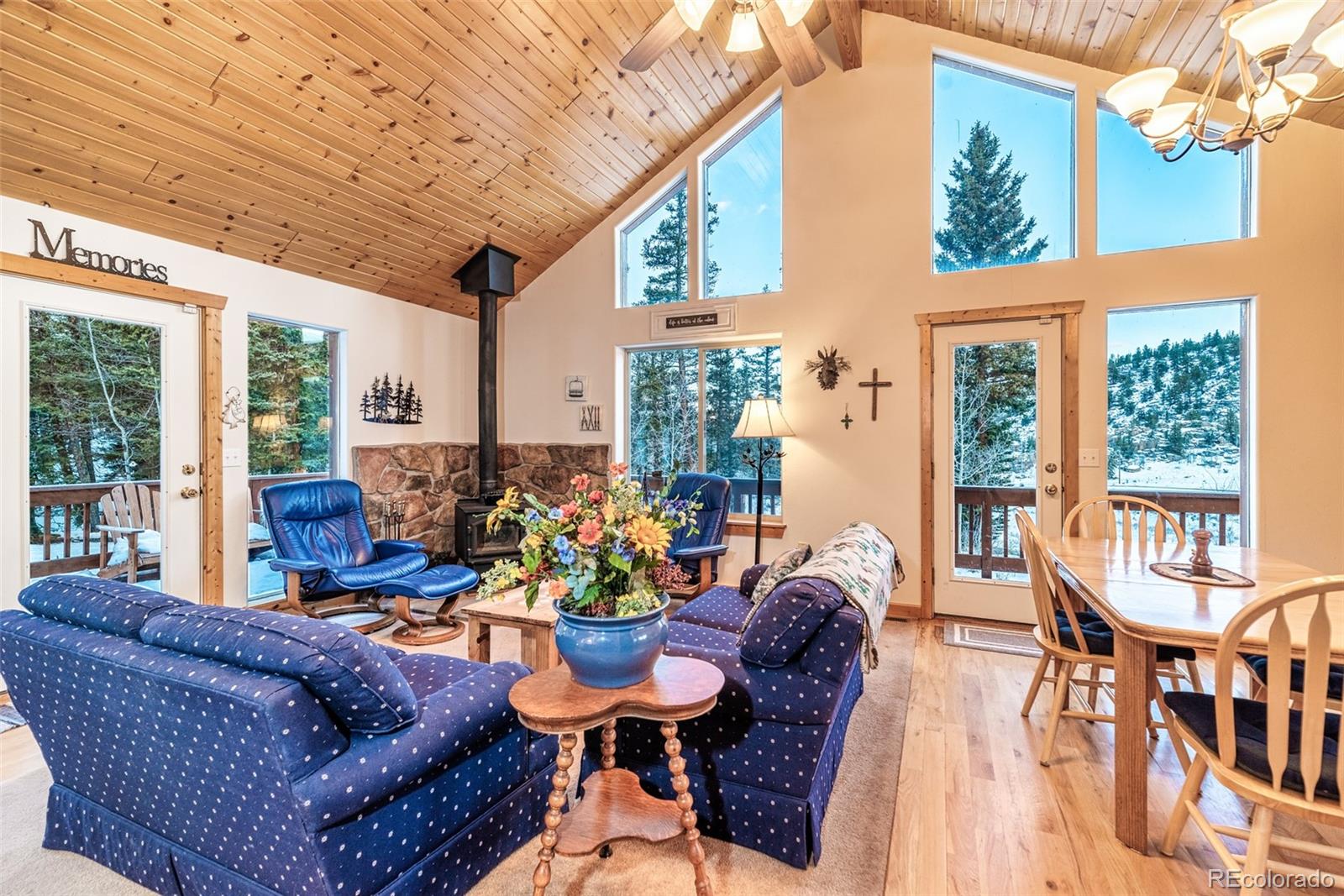 MLS Image #6 for 315  haida ln ,como, Colorado