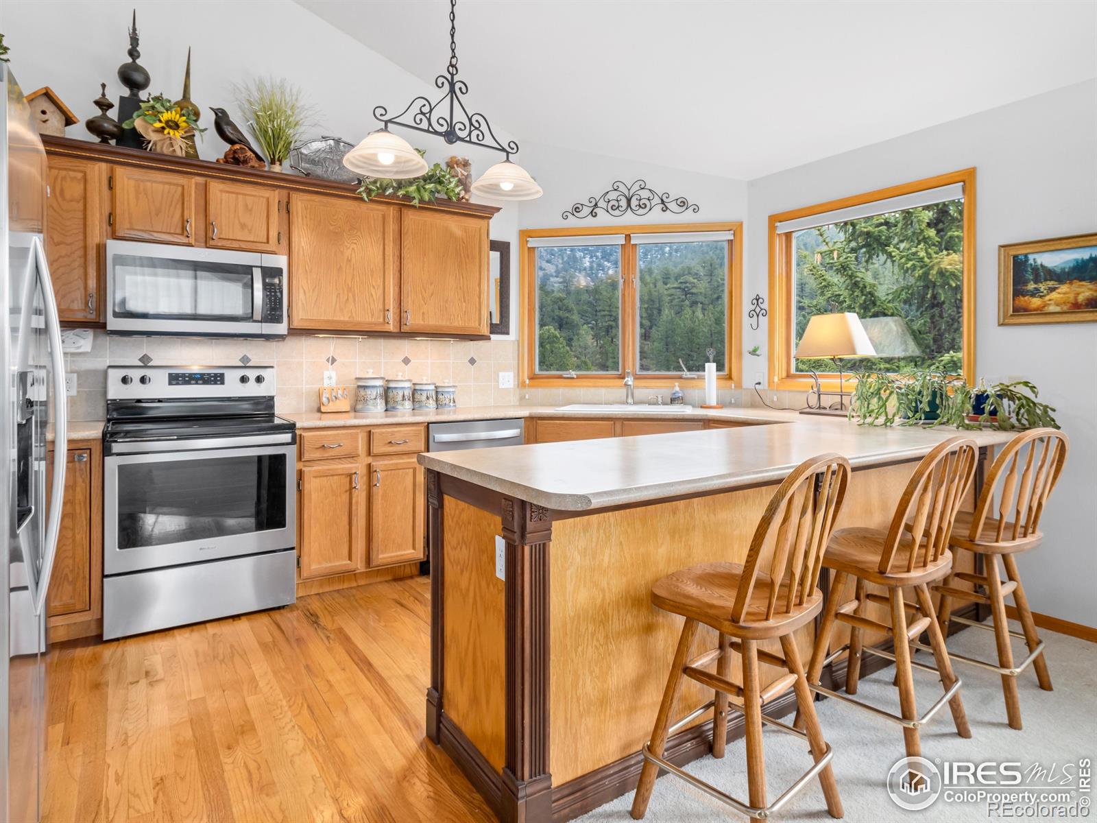 MLS Image #10 for 1861  raven avenue,estes park, Colorado