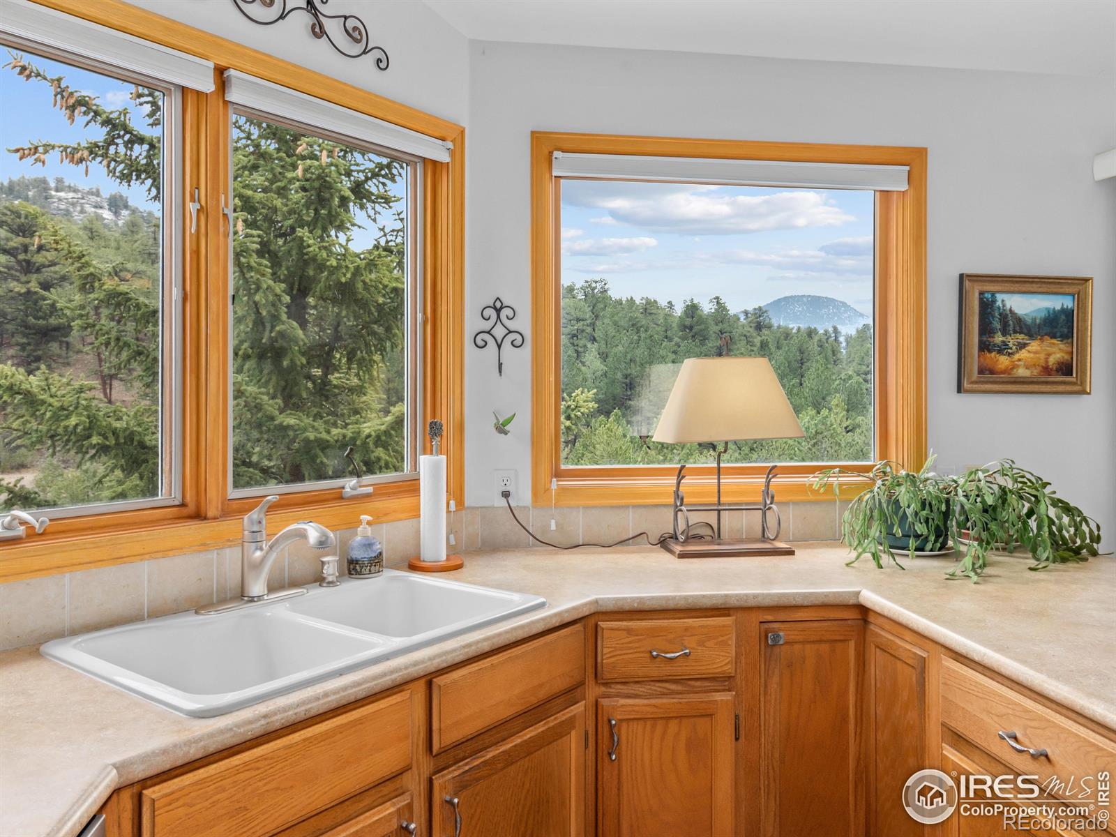MLS Image #13 for 1861  raven avenue,estes park, Colorado