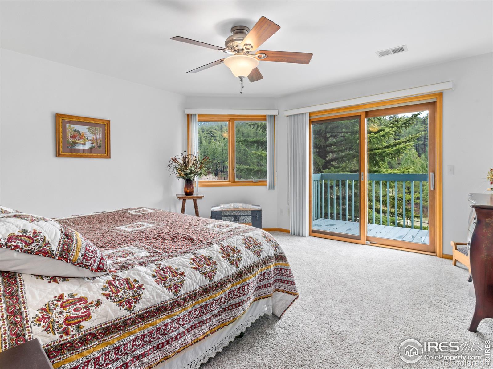 MLS Image #17 for 1861  raven avenue,estes park, Colorado