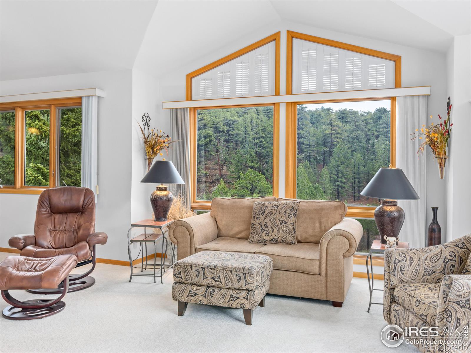 MLS Image #2 for 1861  raven avenue,estes park, Colorado