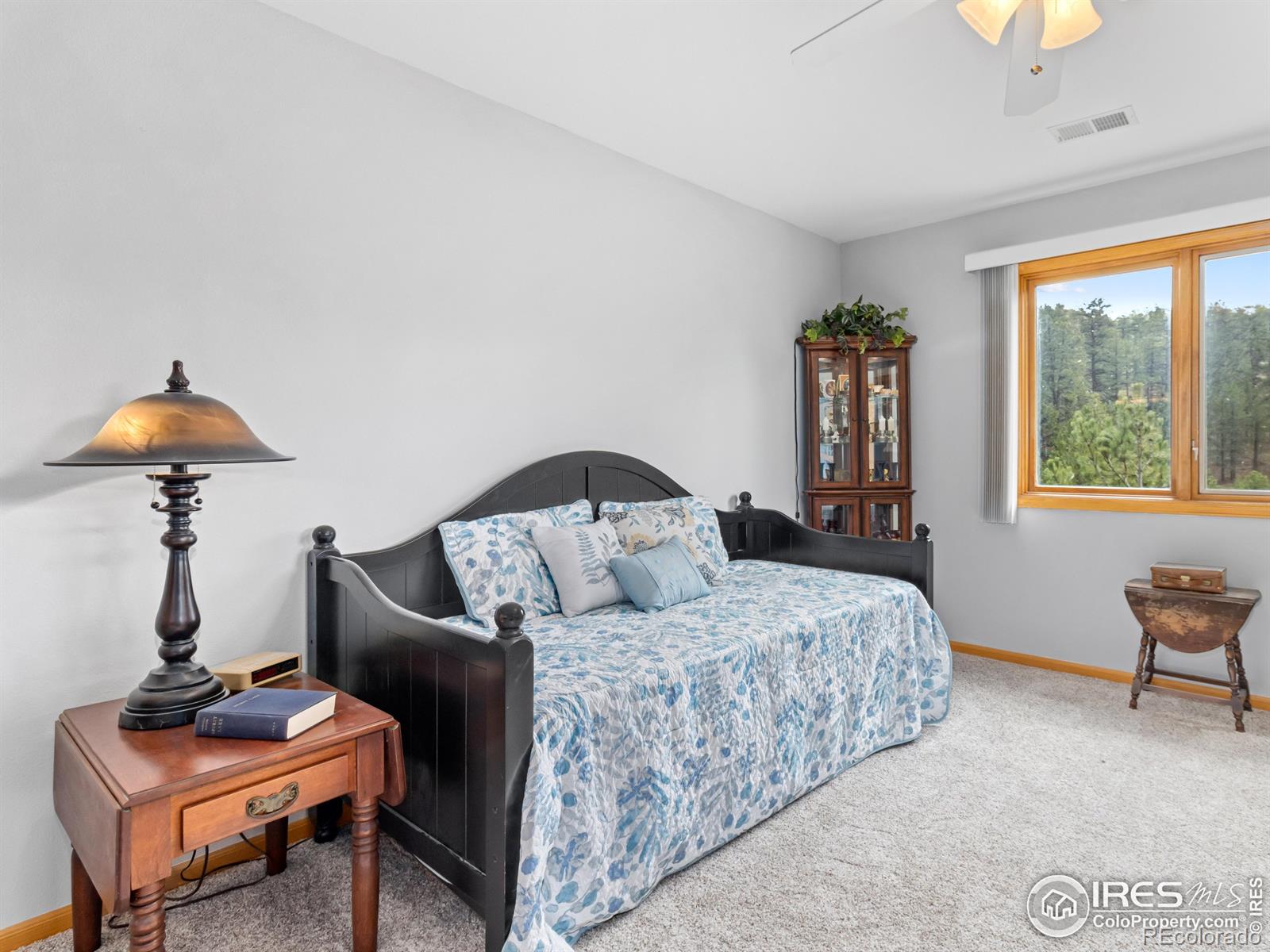MLS Image #23 for 1861  raven avenue,estes park, Colorado