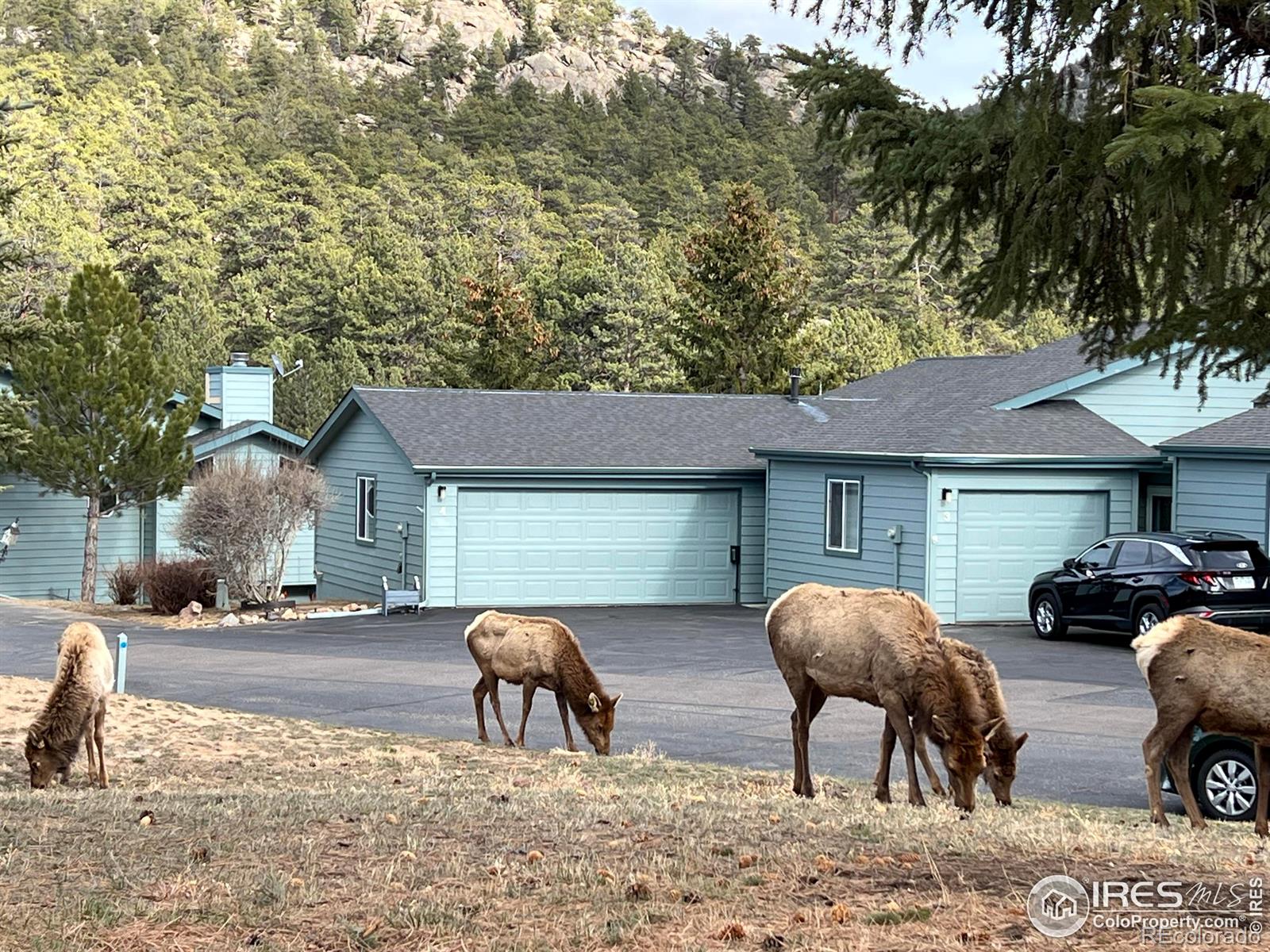 MLS Image #33 for 1861  raven avenue,estes park, Colorado