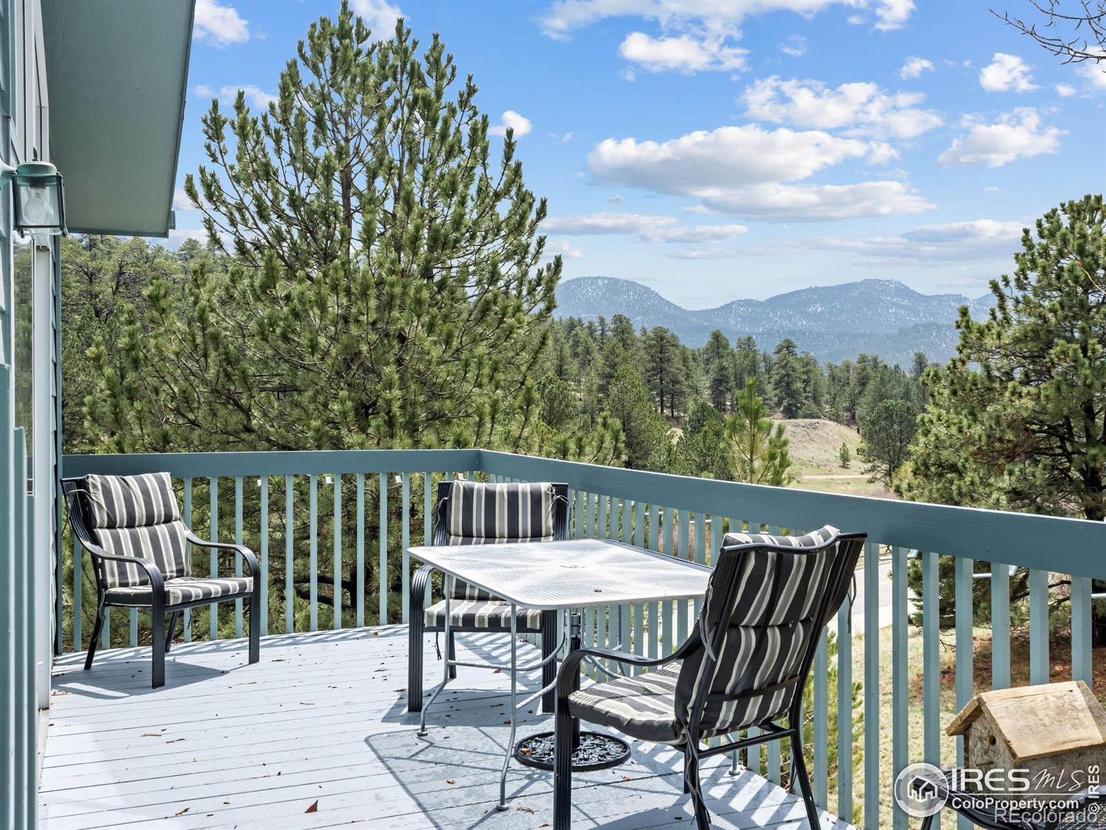 MLS Image #4 for 1861  raven avenue,estes park, Colorado