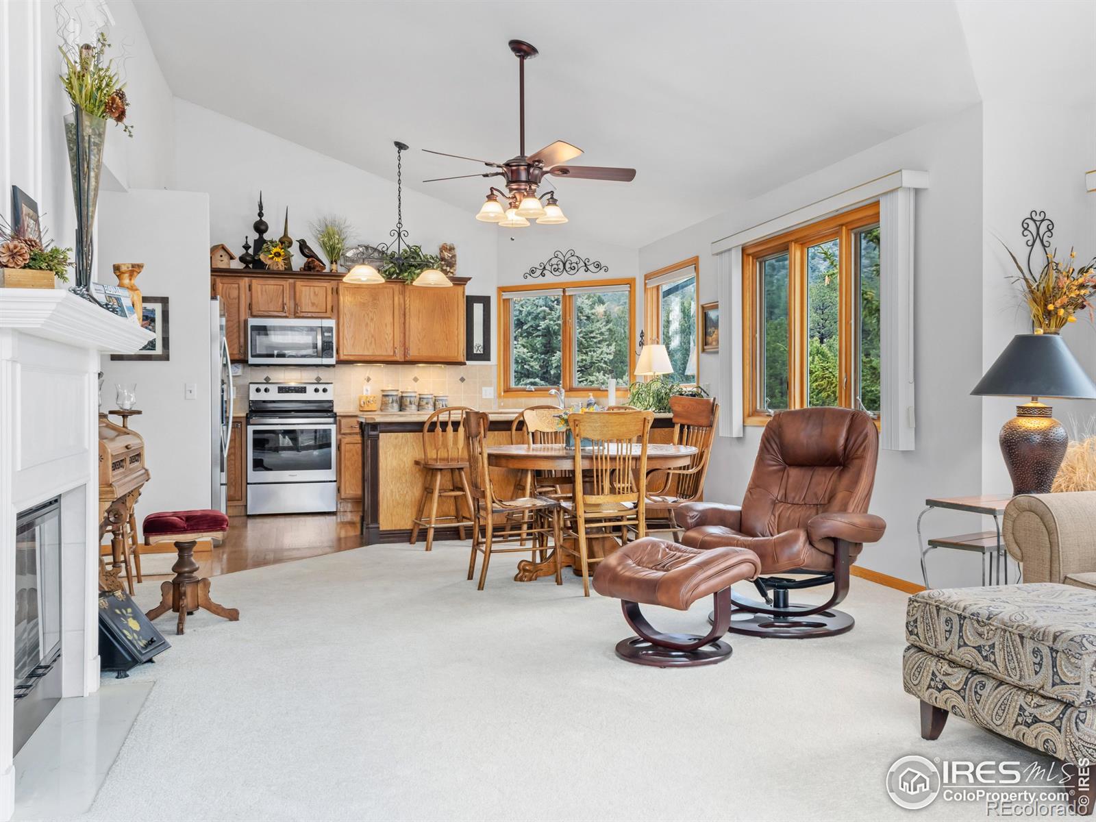 MLS Image #6 for 1861  raven avenue,estes park, Colorado