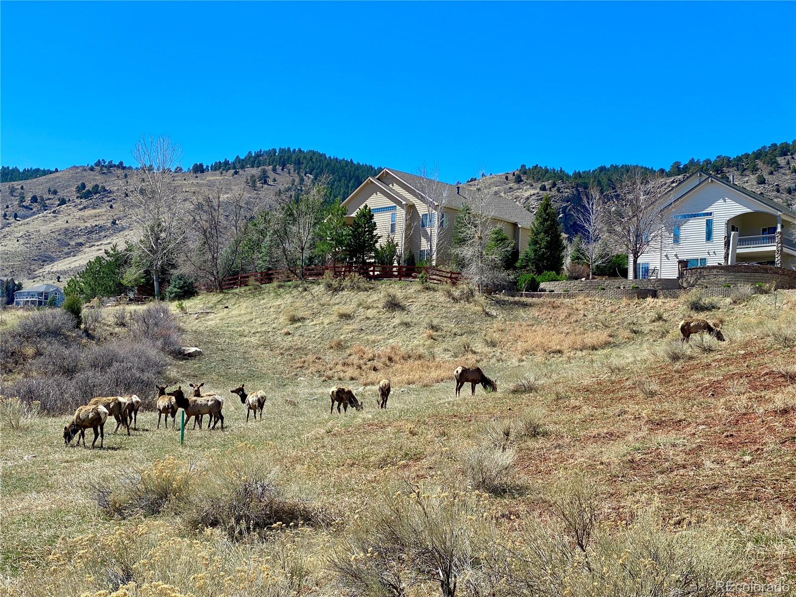 MLS Image #12 for 828  rabbit run drive,golden, Colorado