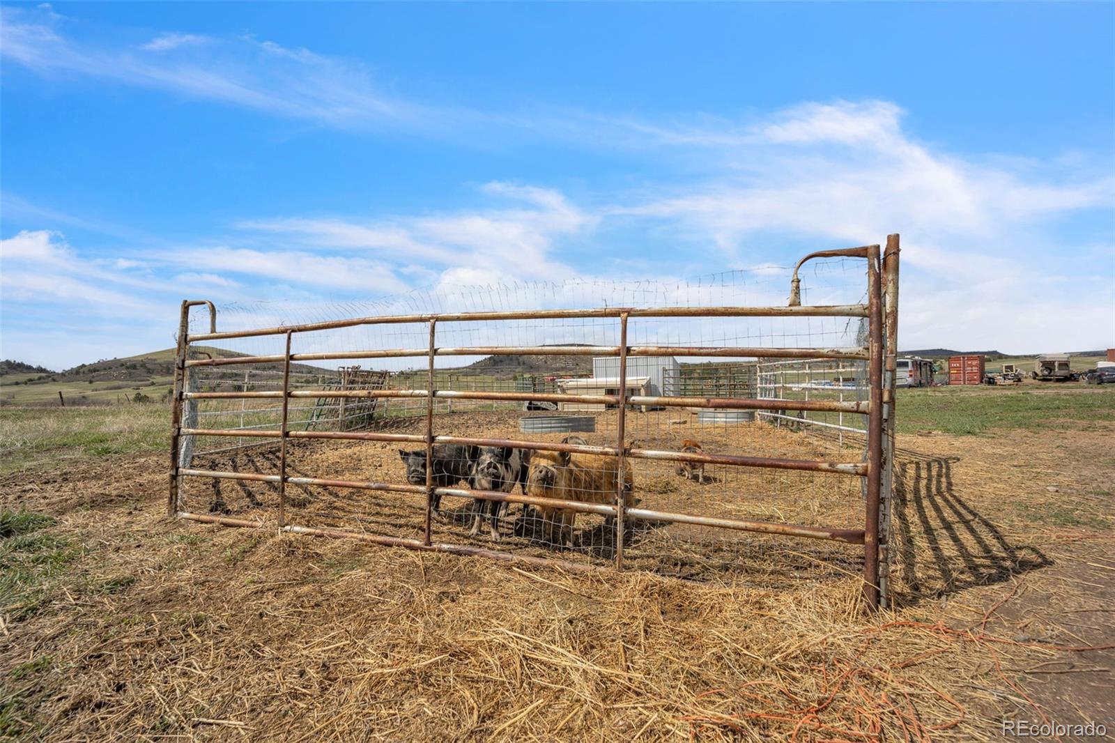 MLS Image #37 for 15125  spring valley road,larkspur, Colorado