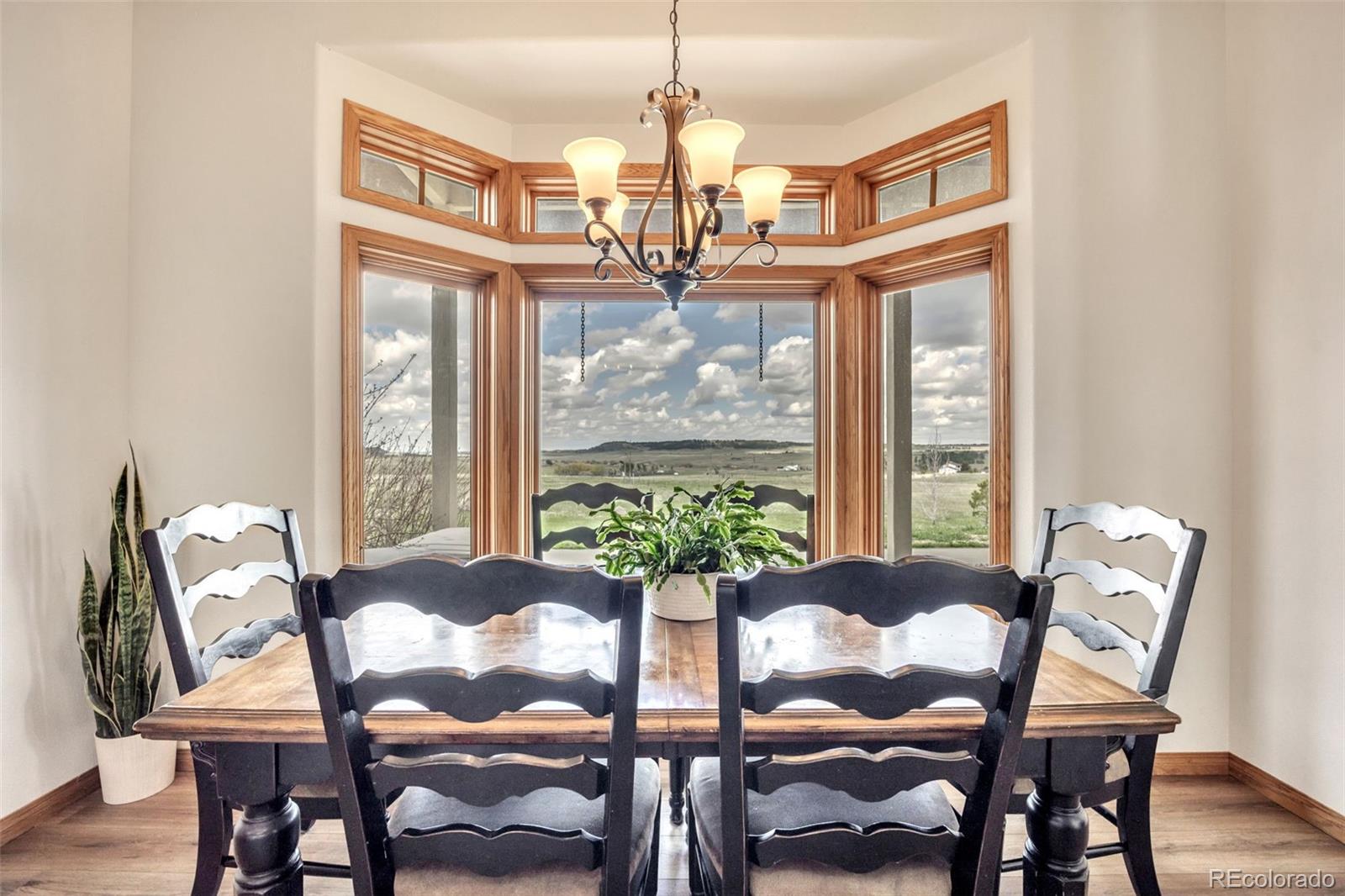 MLS Image #6 for 15125  spring valley road,larkspur, Colorado