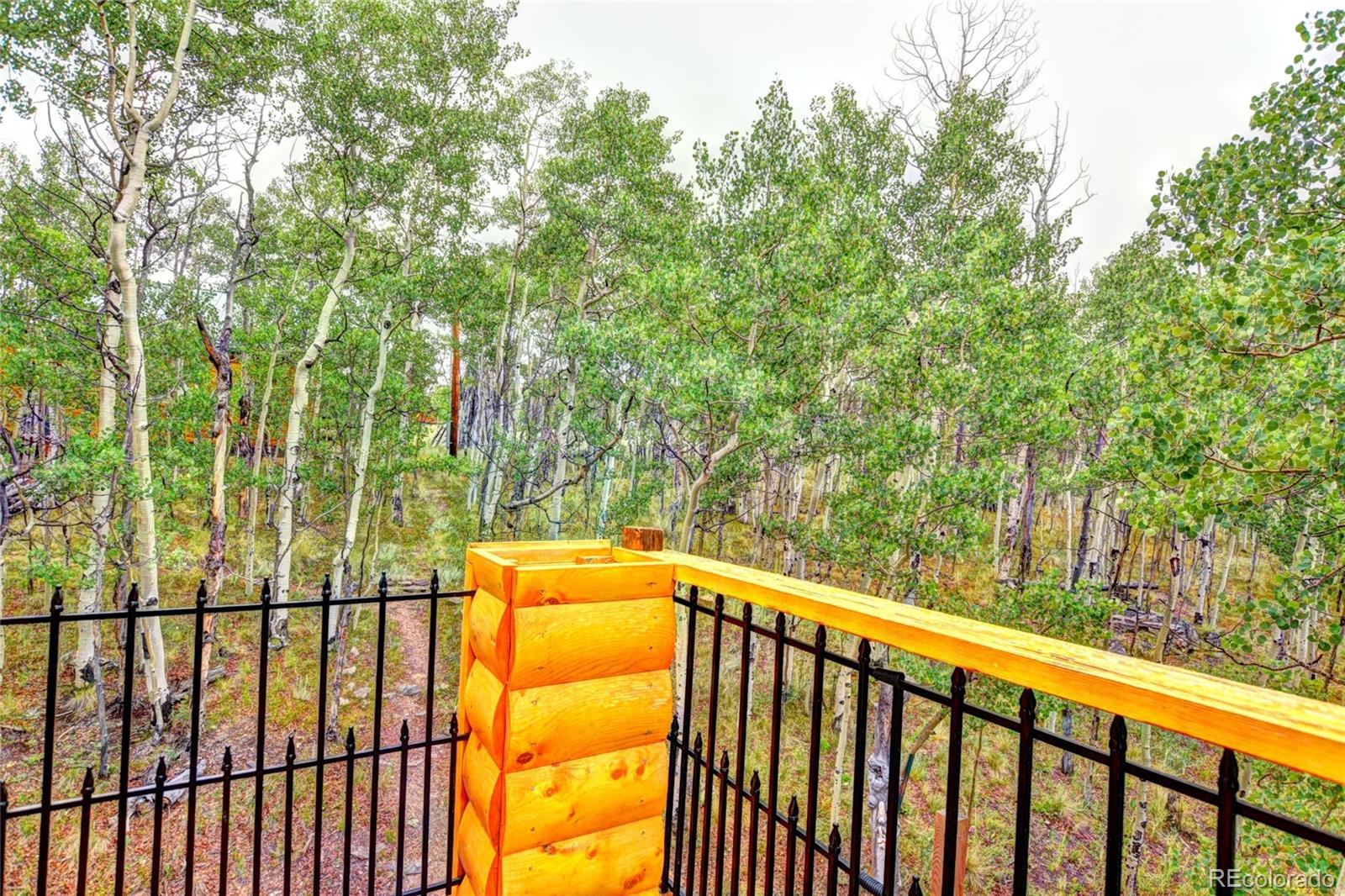 MLS Image #20 for 567  haida rd ,como, Colorado