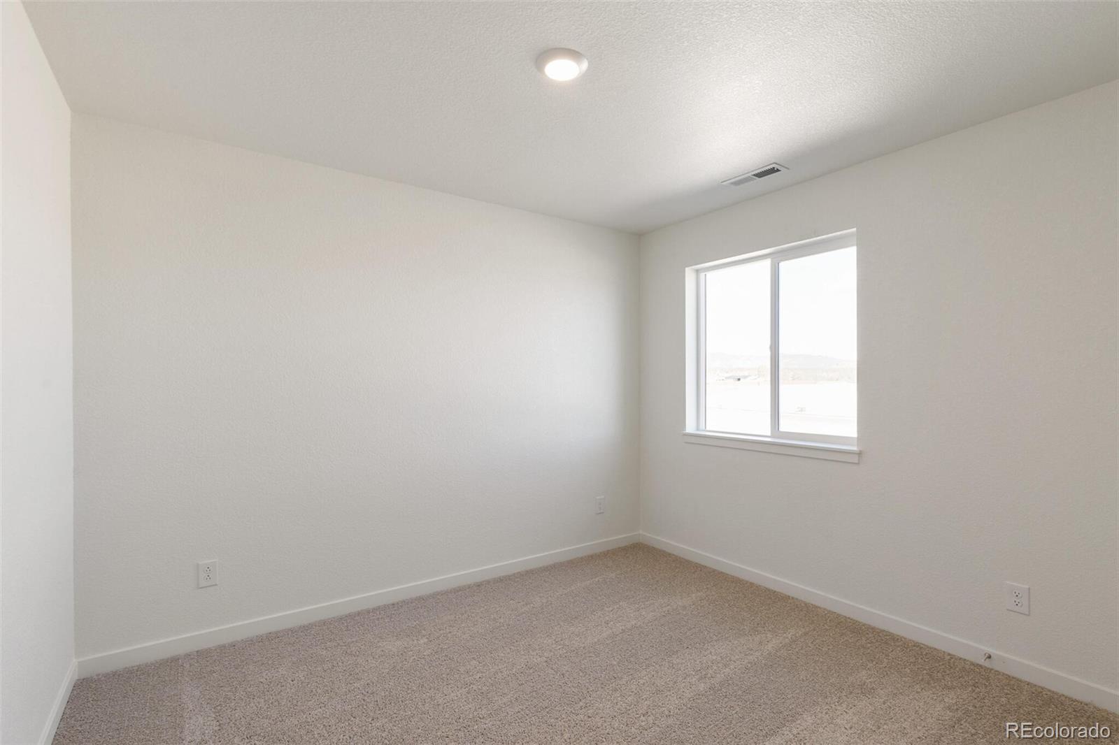MLS Image #19 for 6737  raven ridge terrace,colorado springs, Colorado