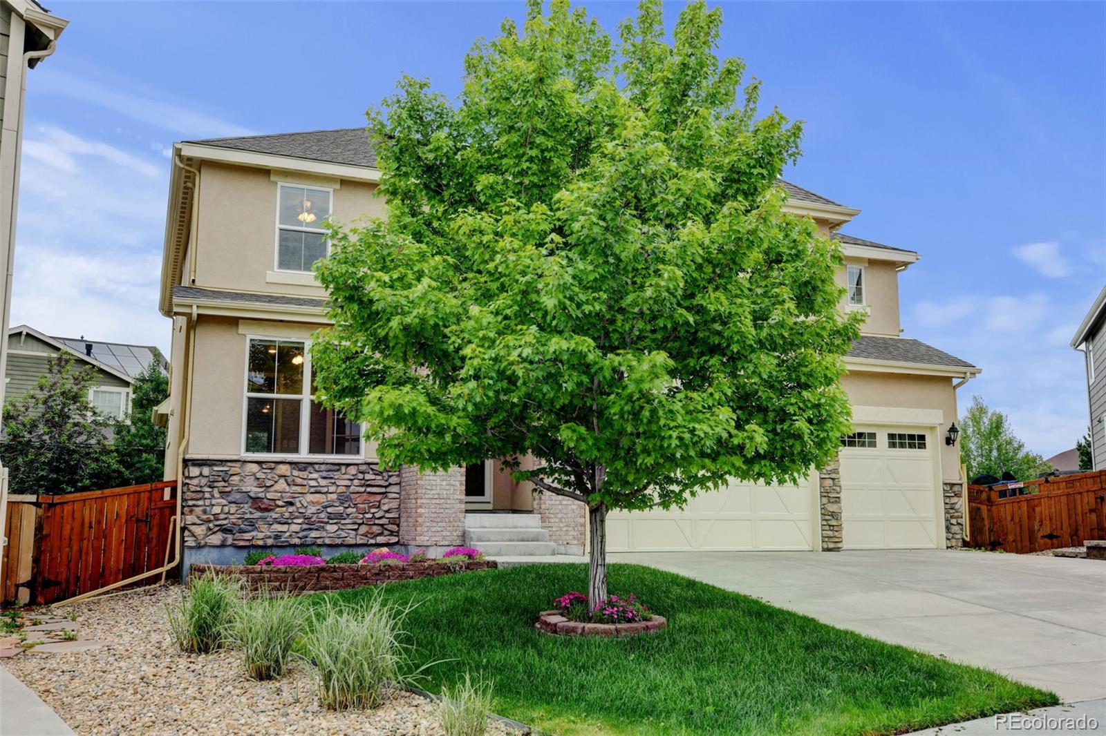 MLS Image #2 for 2454  ambience lane,castle rock, Colorado