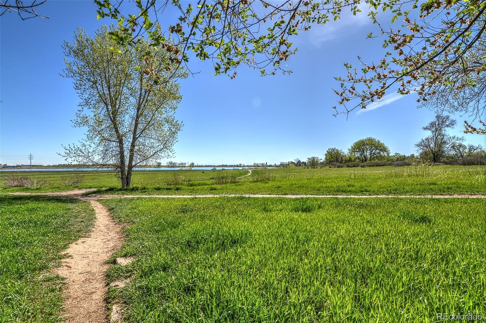 MLS Image #28 for 11257 w radcliffe drive,littleton, Colorado