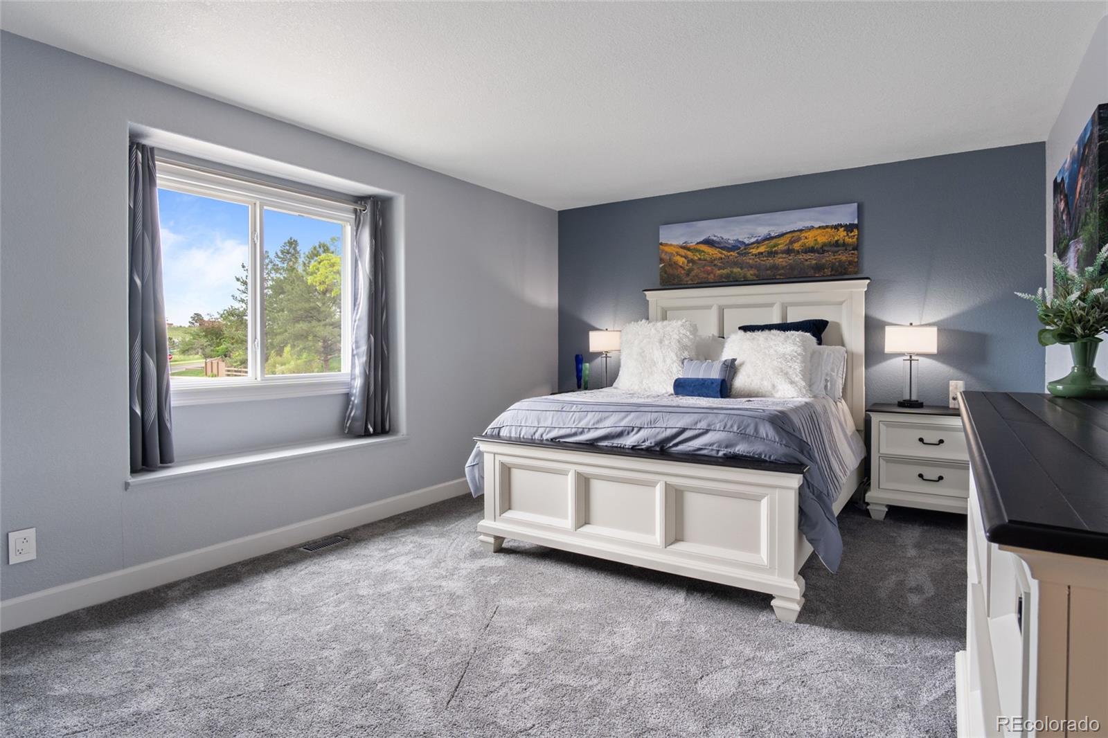 MLS Image #24 for 1193  phipps court,highlands ranch, Colorado