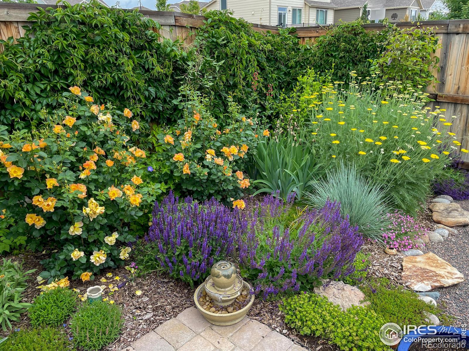 MLS Image #25 for 2793  red wheat trail,berthoud, Colorado