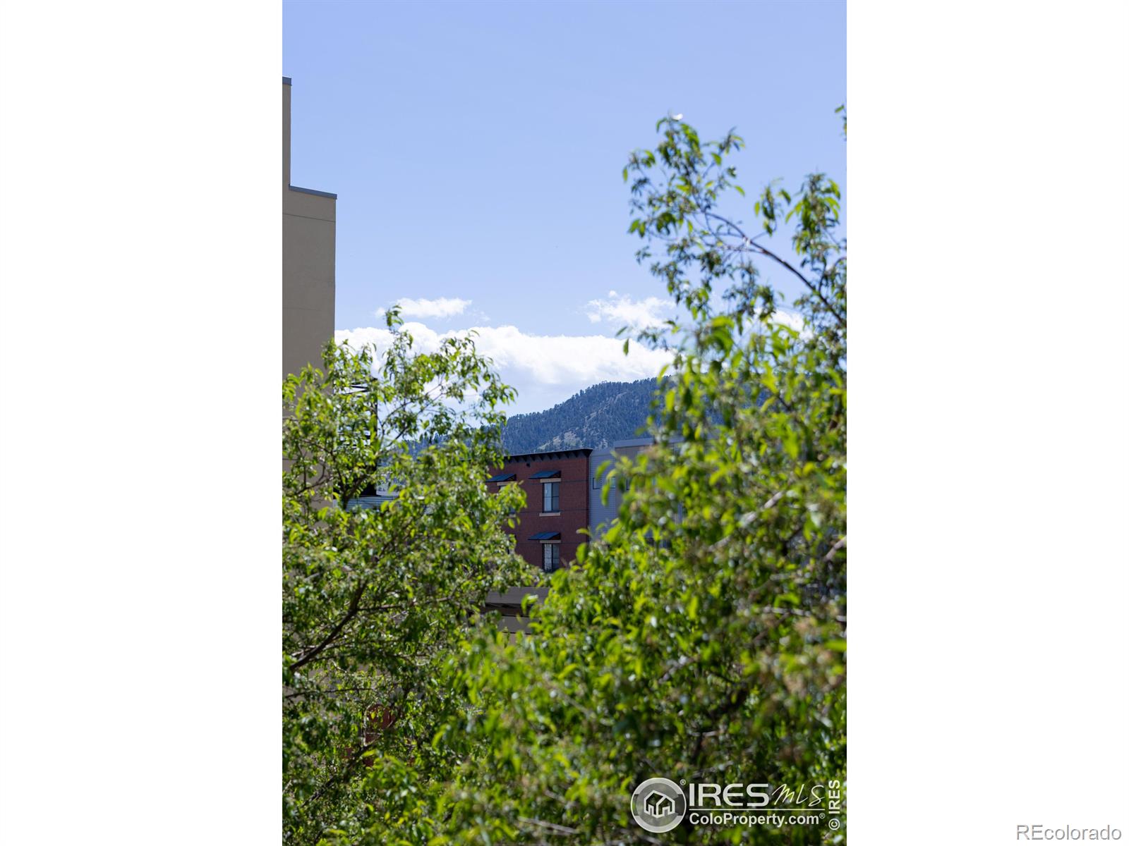 MLS Image #11 for 4585  13th street,boulder, Colorado