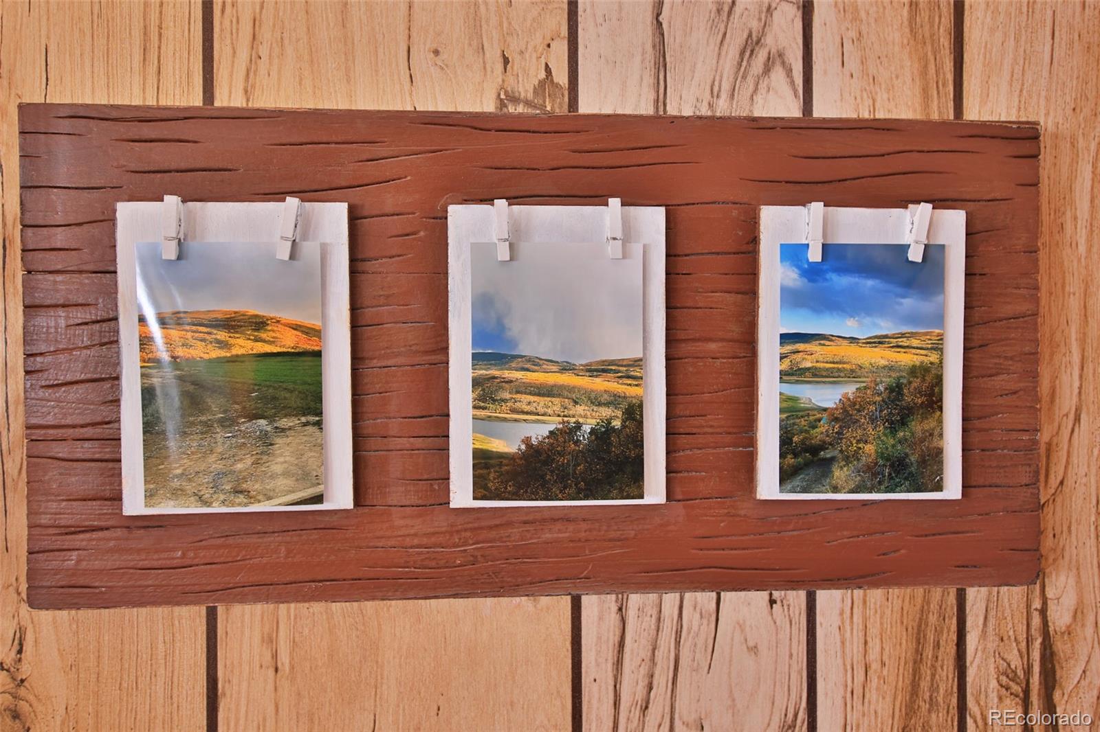 MLS Image #10 for 67456  black bear drive,collbran, Colorado