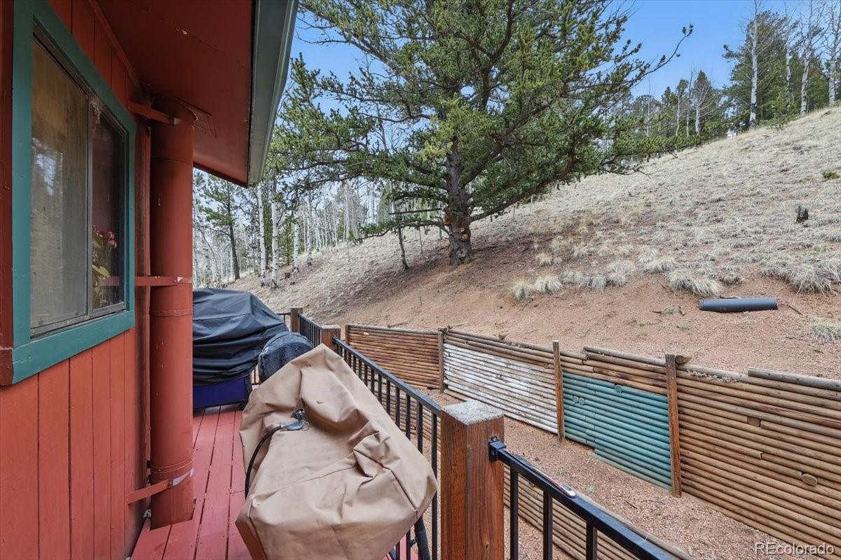 MLS Image #21 for 1184  bennett drive,cripple creek, Colorado