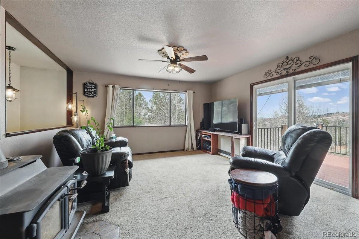 MLS Image #3 for 1184  bennett drive,cripple creek, Colorado