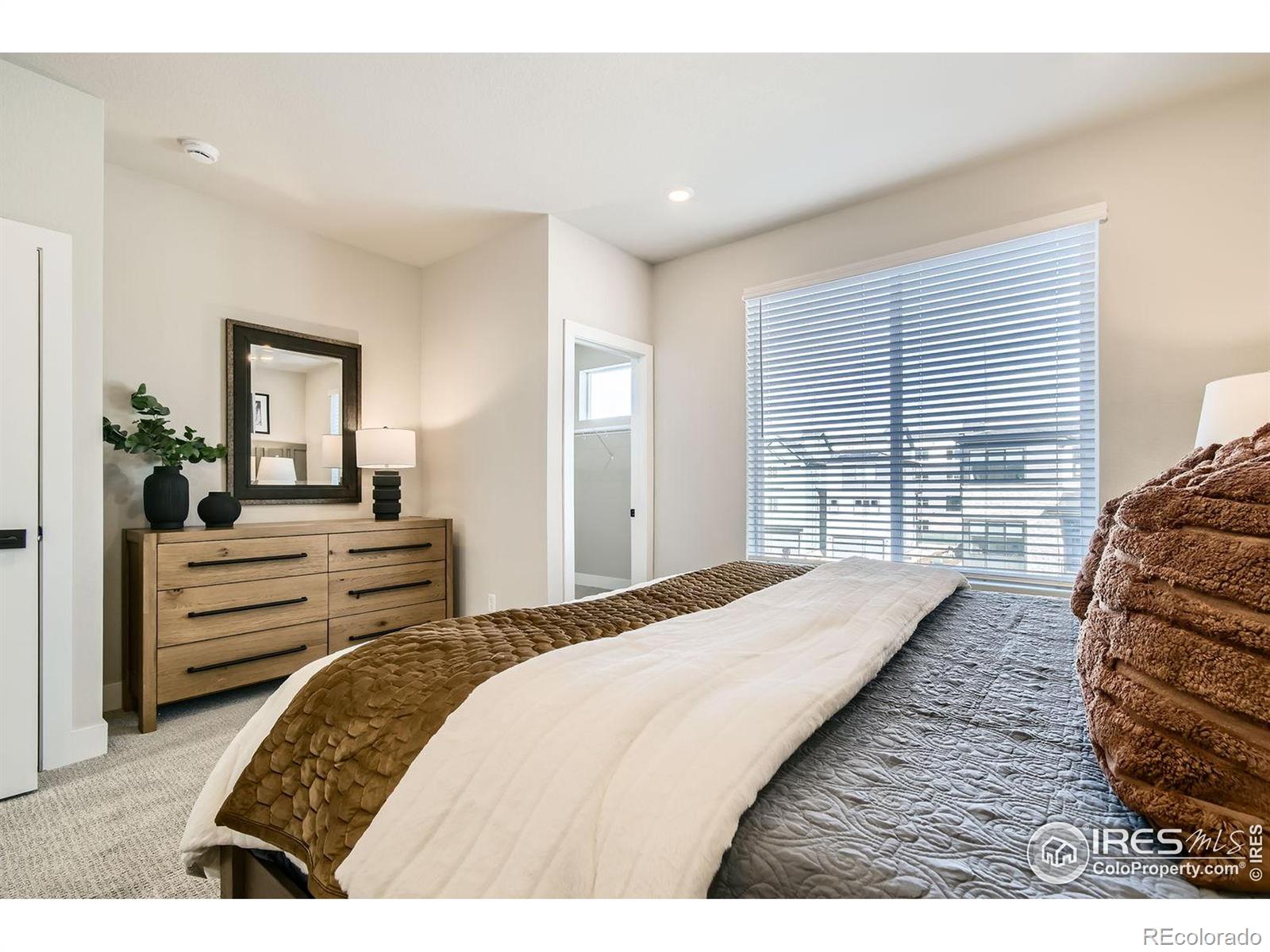 MLS Image #13 for 16637  promenade street,broomfield, Colorado