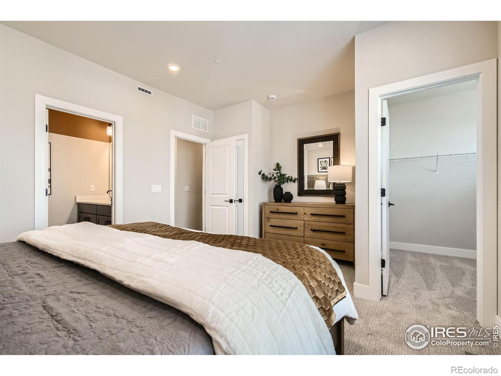MLS Image #14 for 16637  promenade street,broomfield, Colorado