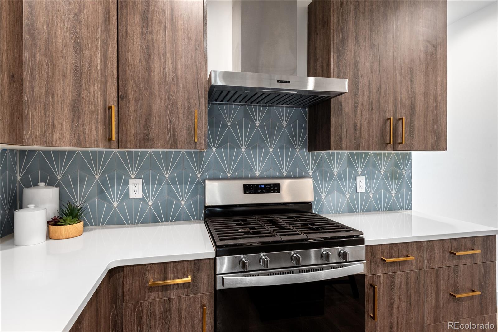 MLS Image #13 for 1308  stuart street,denver, Colorado
