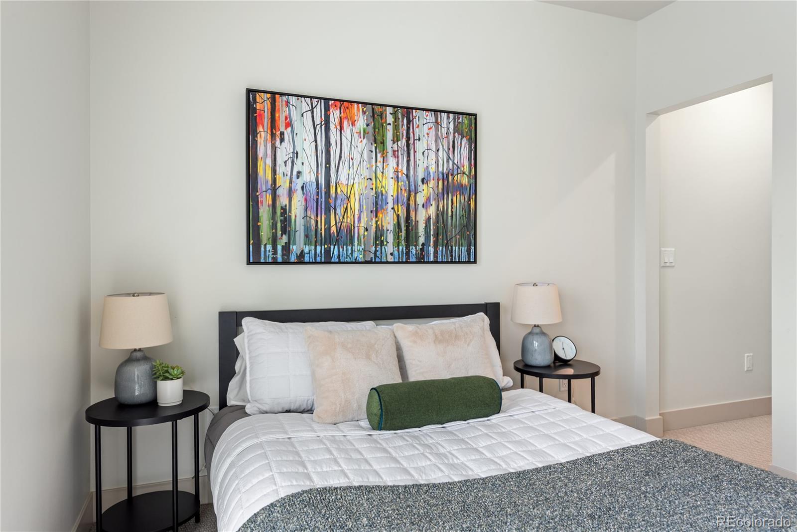 MLS Image #25 for 1308  stuart street,denver, Colorado