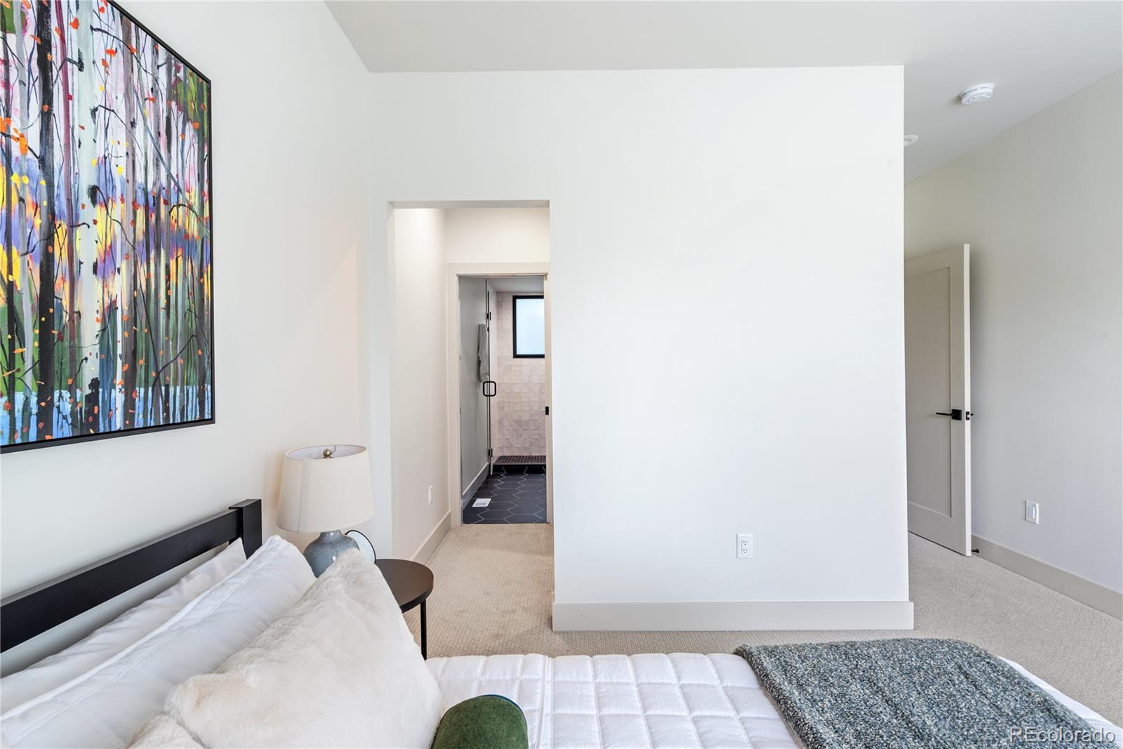 MLS Image #26 for 1308  stuart street,denver, Colorado